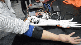 Cable-actuated robot hand (Copy)