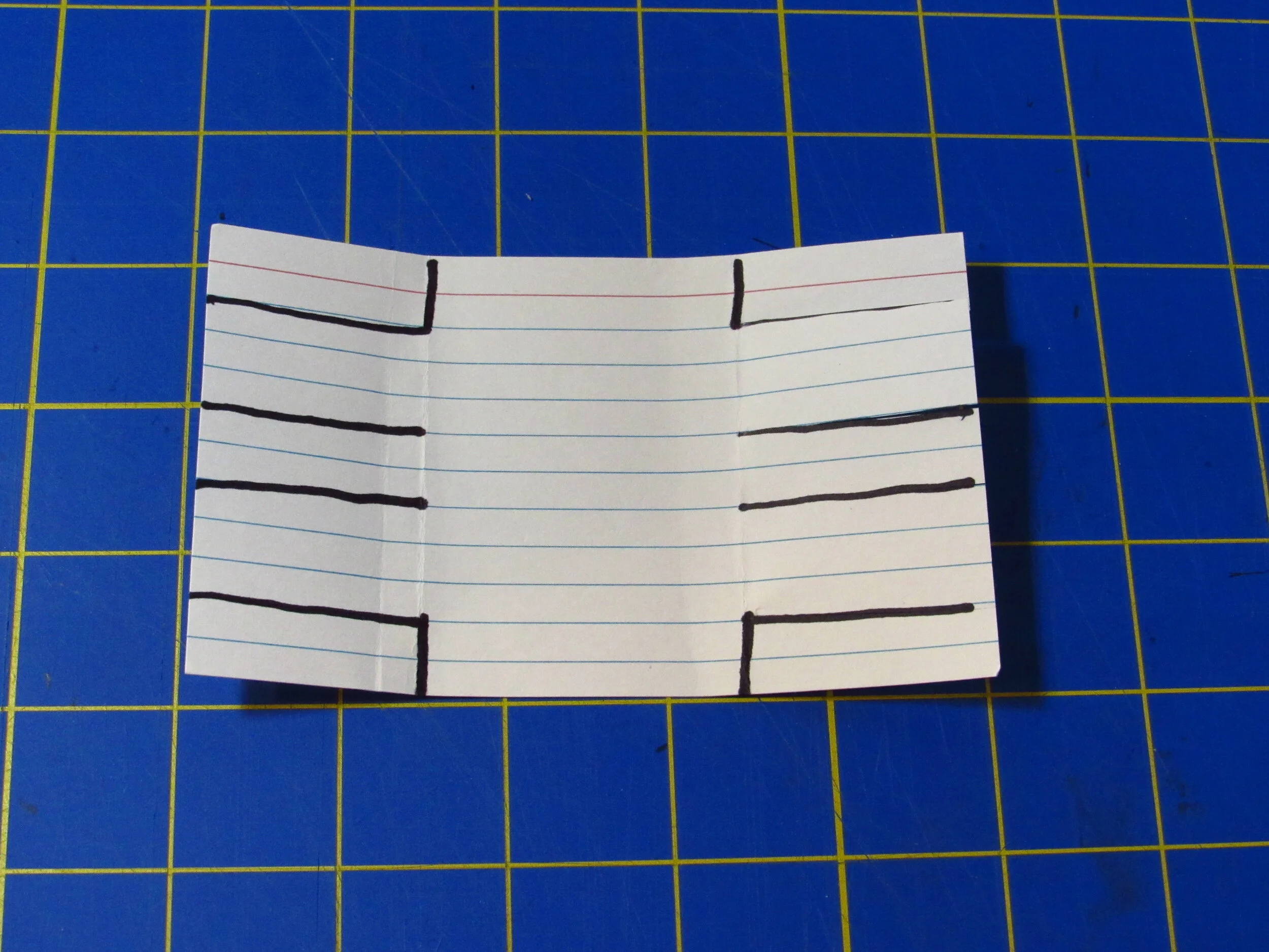 5. Add legs next to head and tail. (Copy)