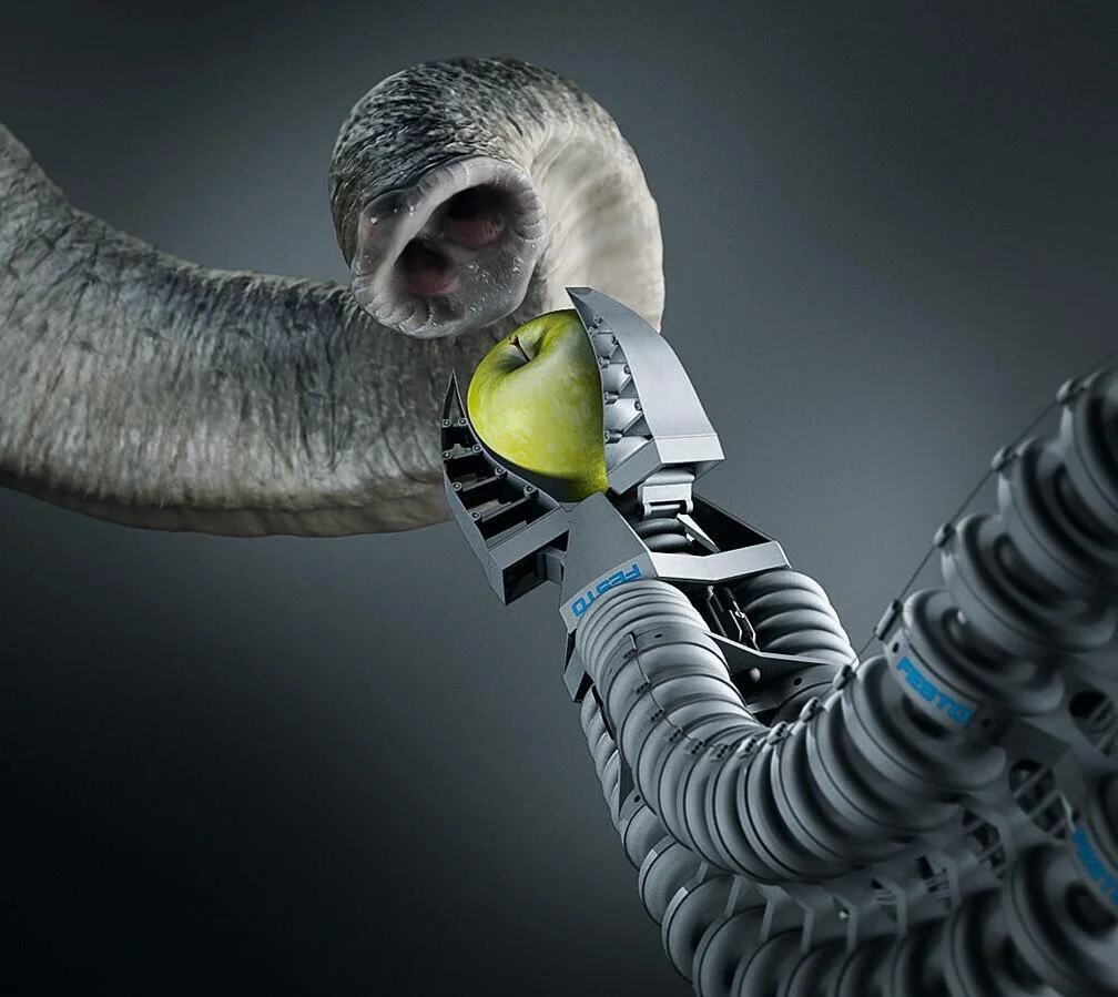 Festo%2BFin%2BGripper%2BElephant%2BTrunk