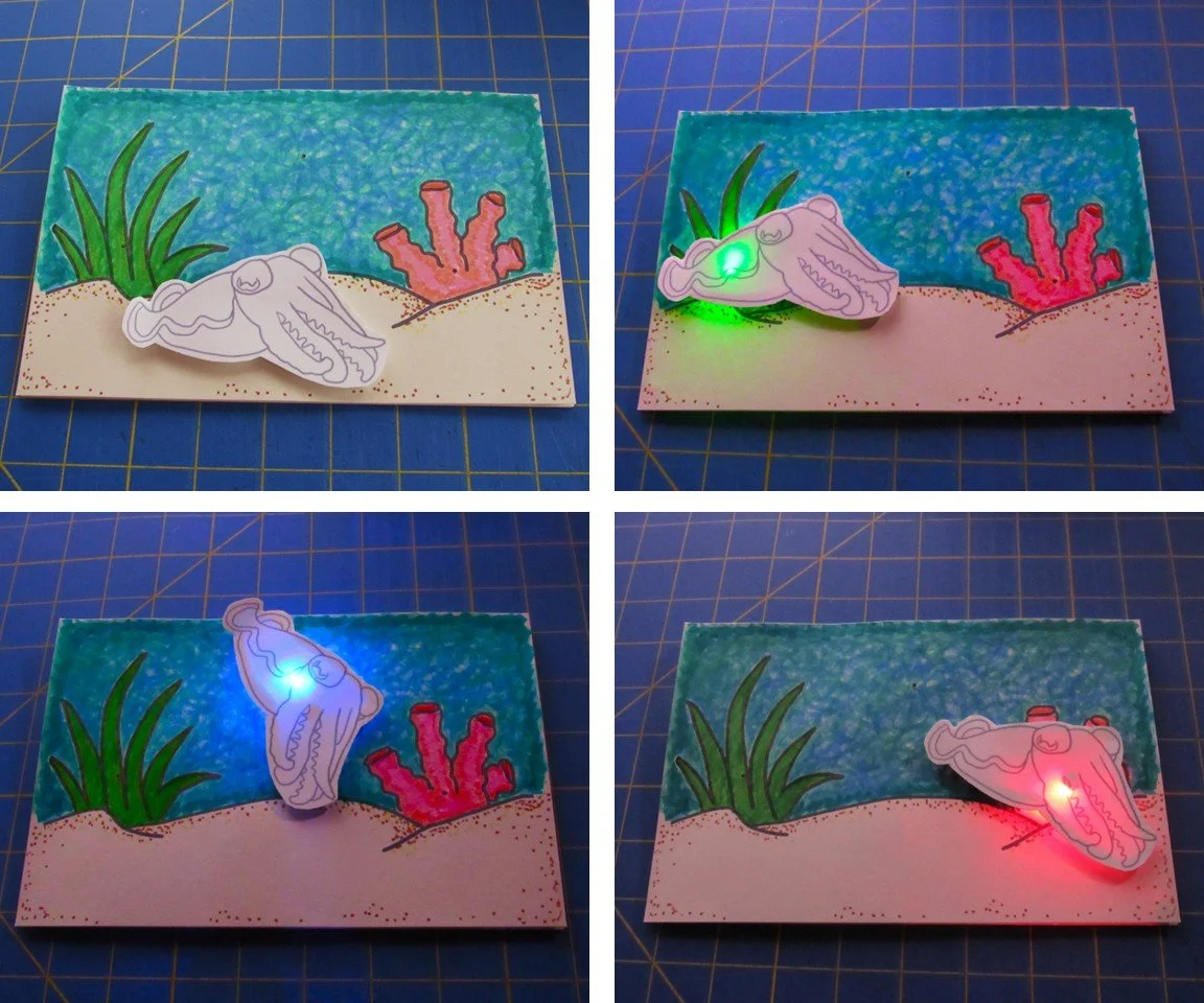 Color-Changing Cuttlefish Card
