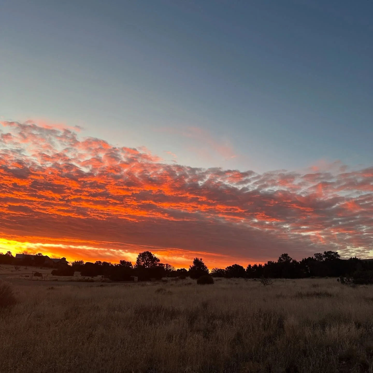 Christmas Eve Sunrise ❤️🎄❤️