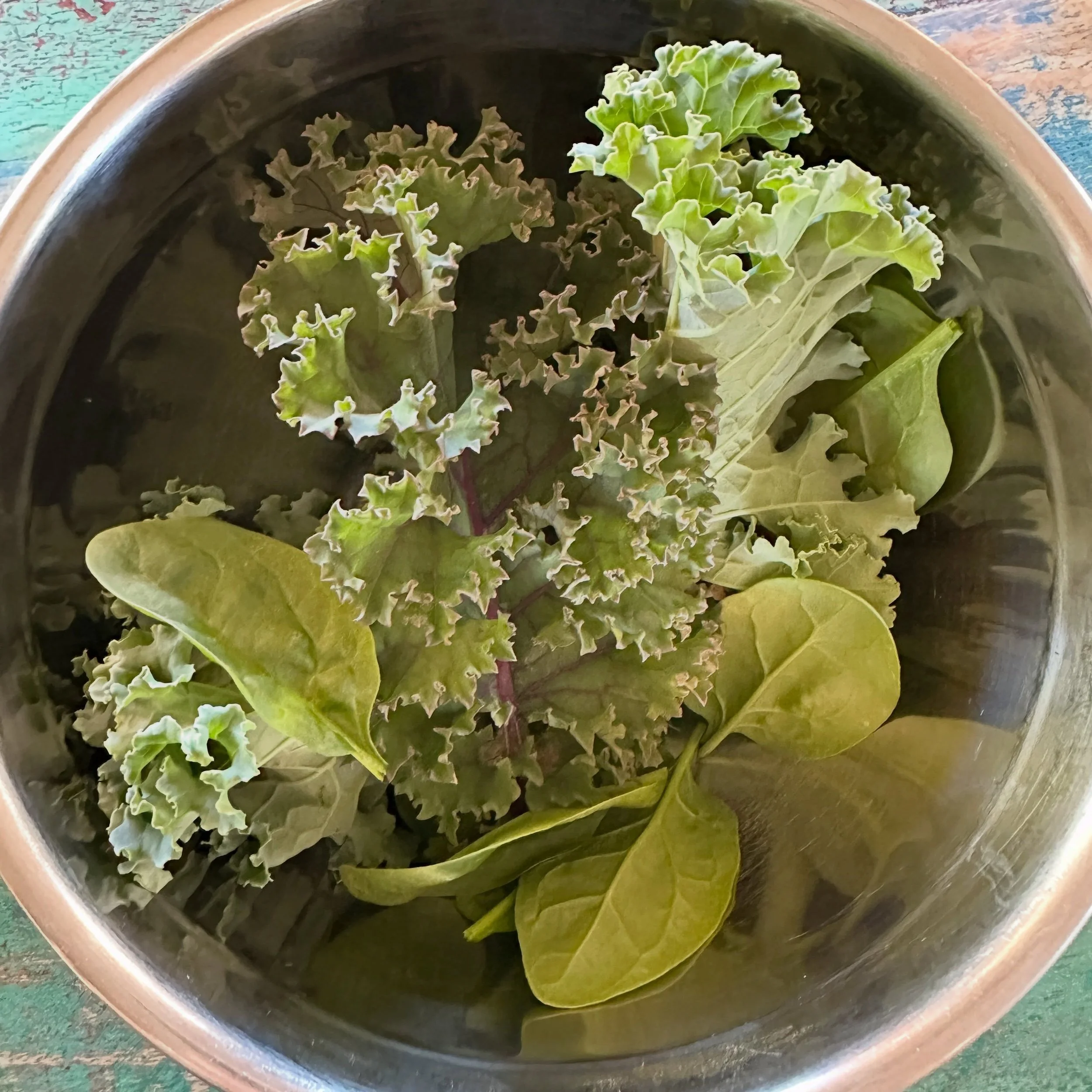 First salad from this year&rsquo;s garden 💚 Always special 💚 

#garden #salad #summerthoughts #spiritual