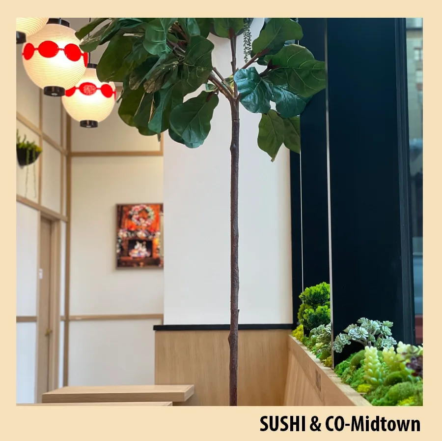 midtown location picture with frame copy.webp