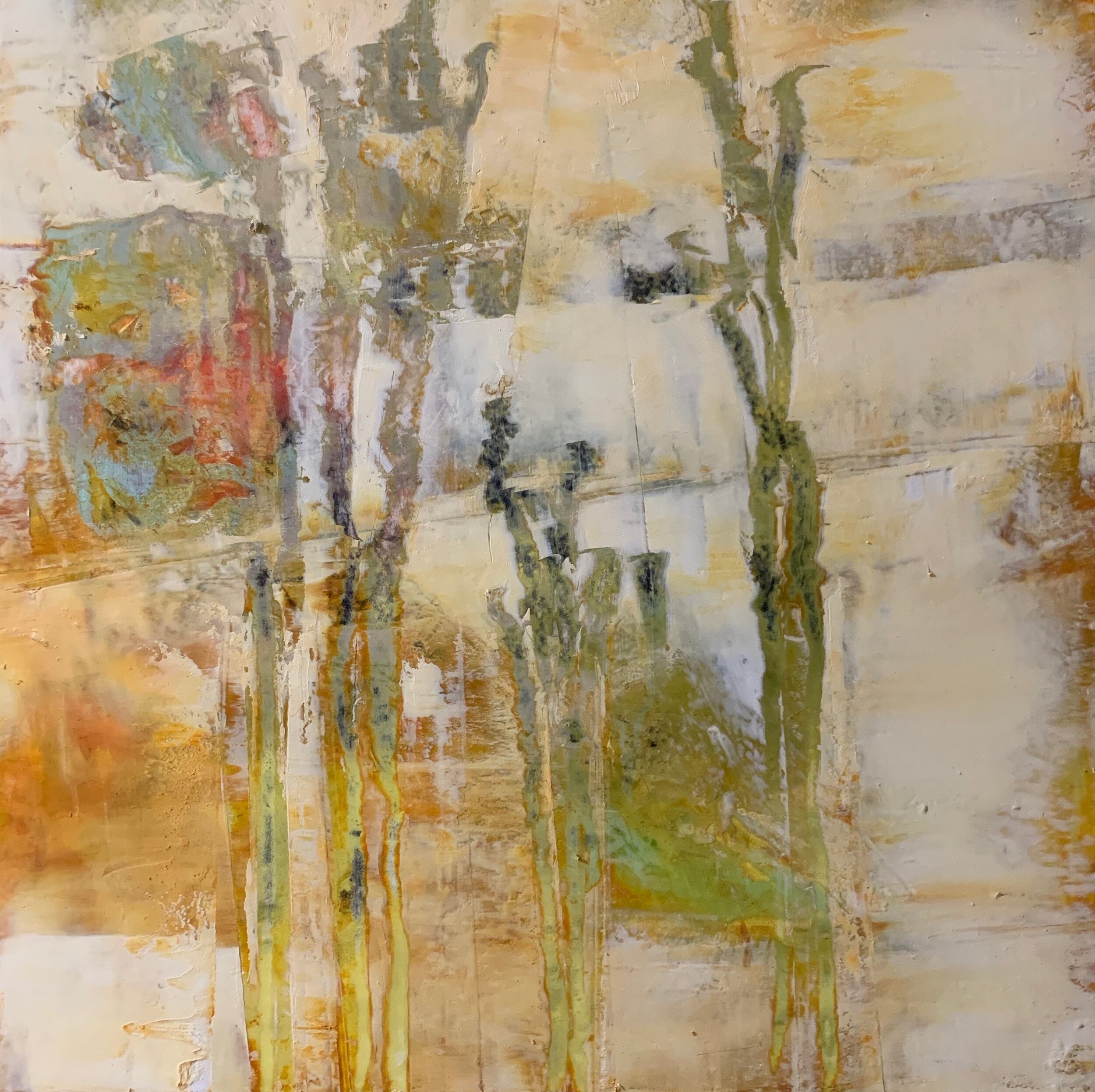 forest, 2019