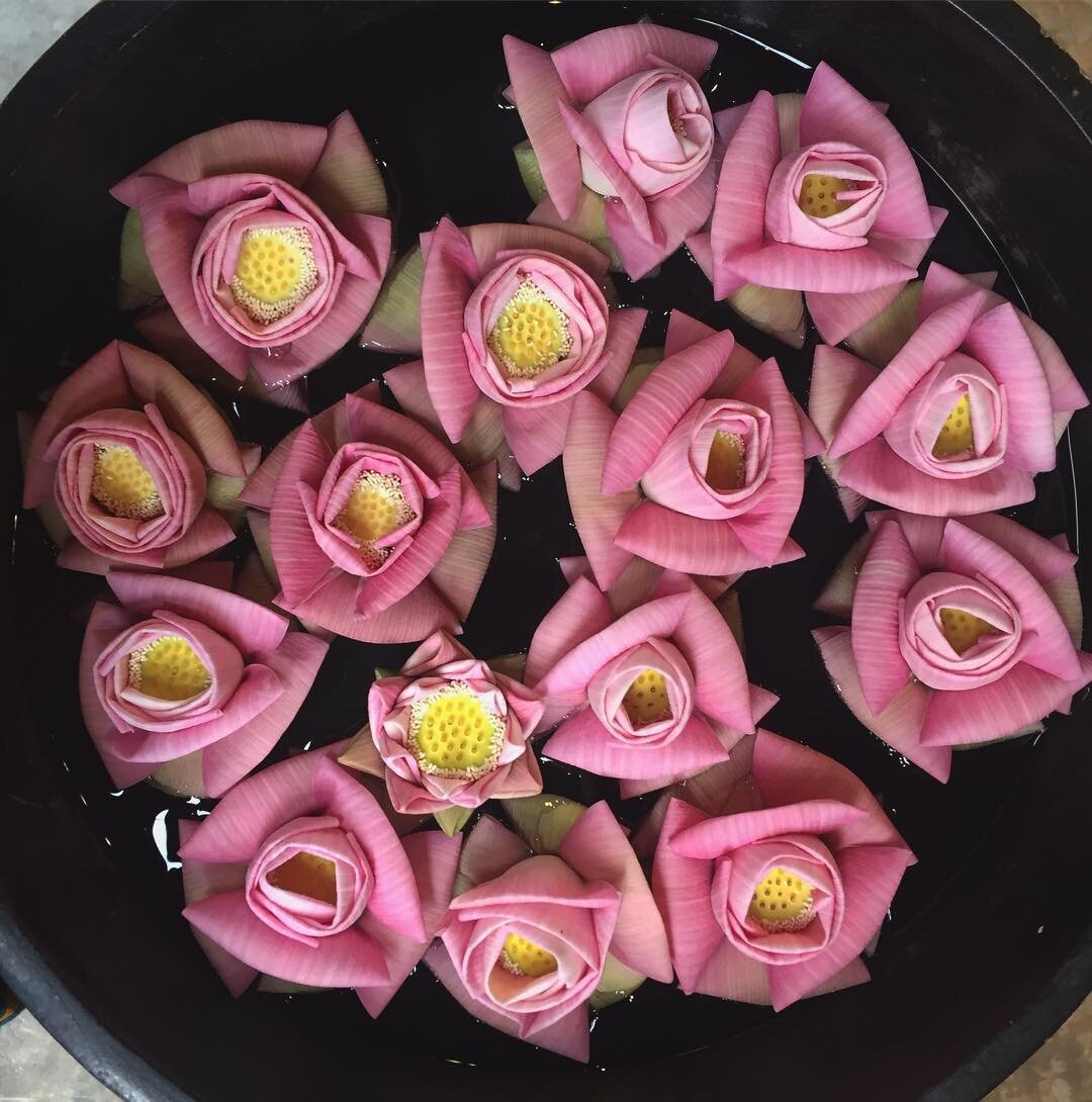 Folded Lotus.jpg