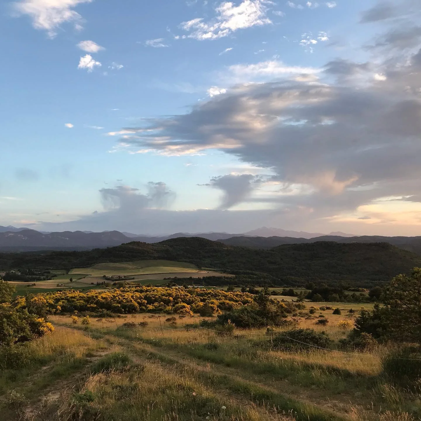 France Sunset.jpg