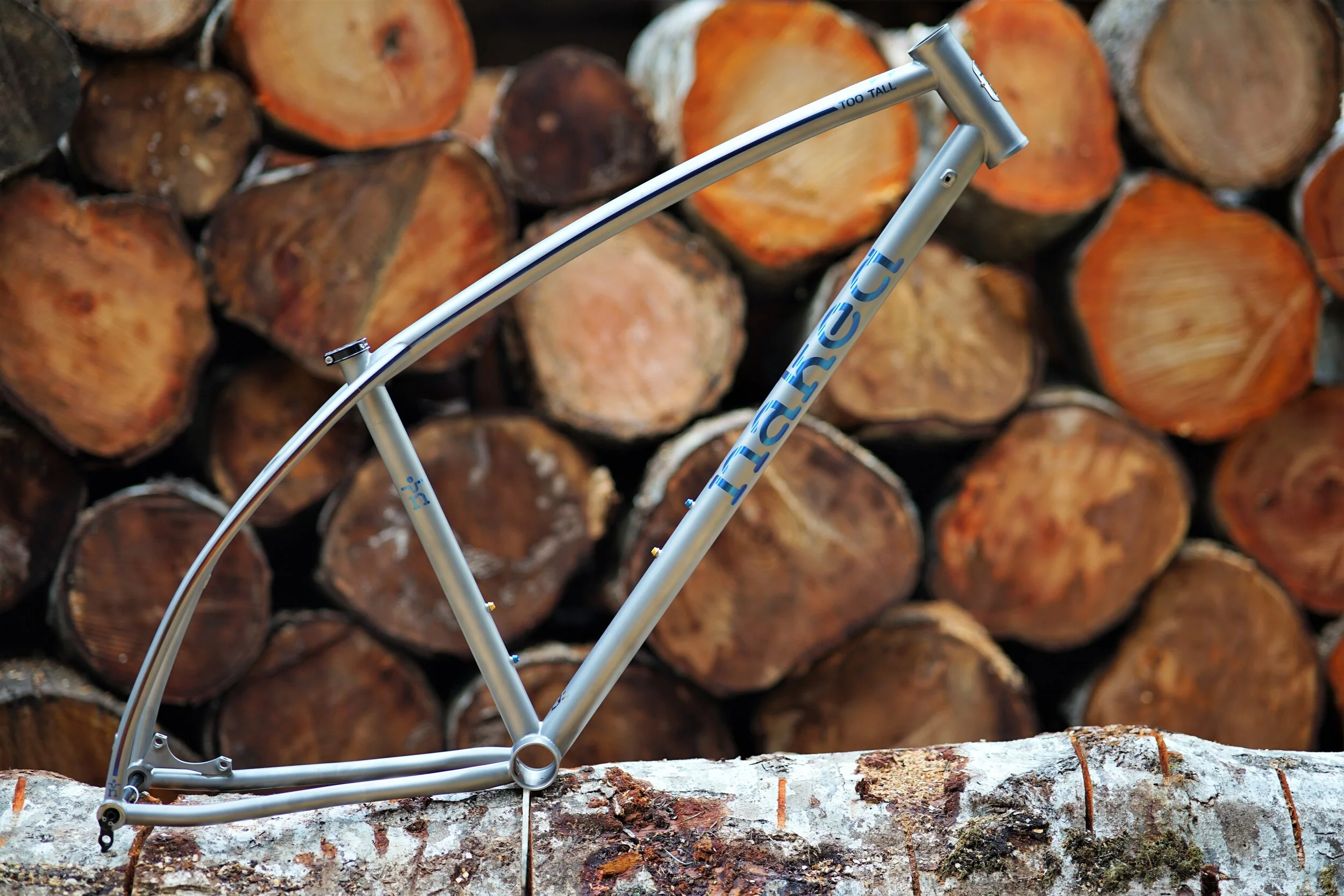 Terry's Ti Hardtail MTB