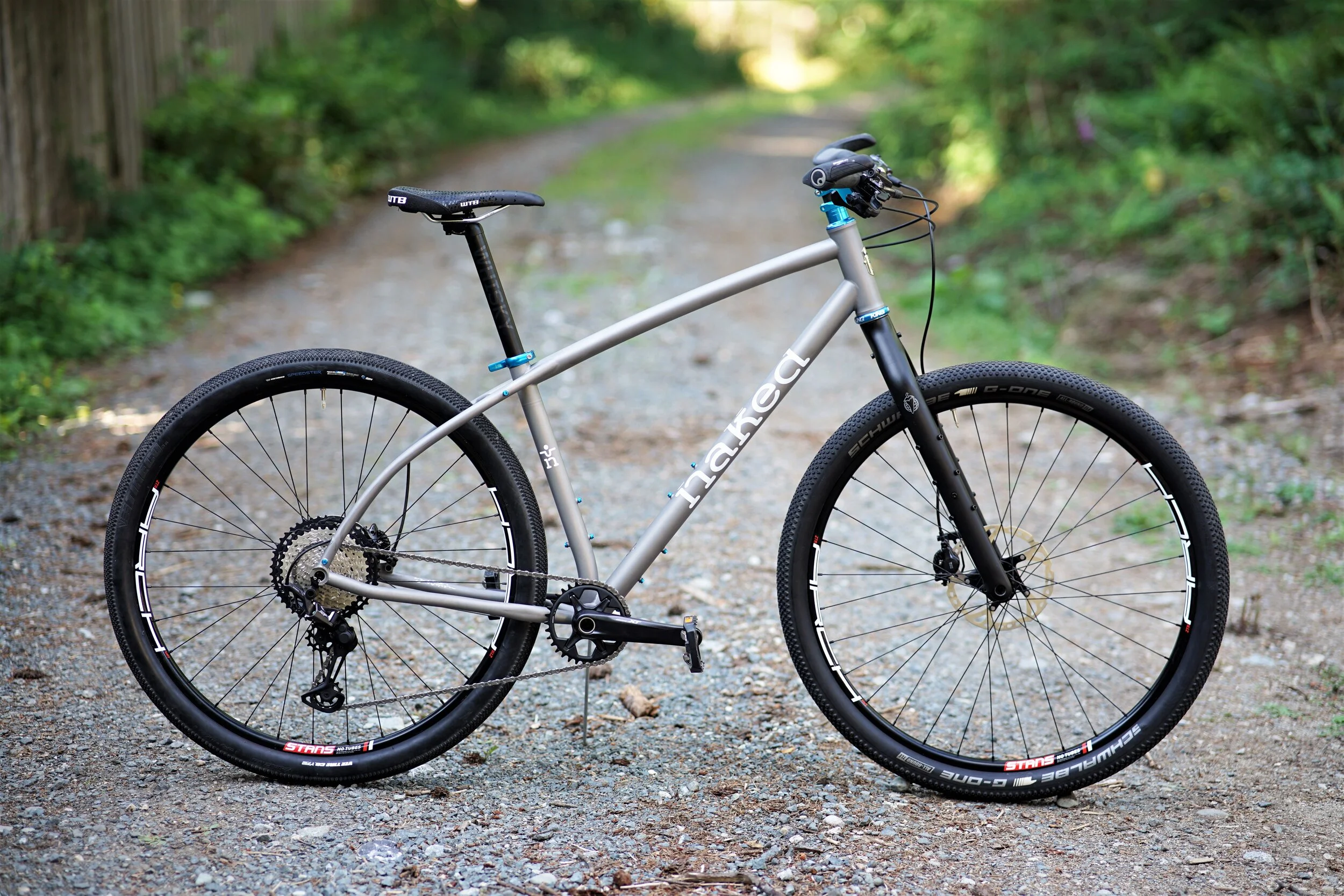 Joakim's Ti Fully Rigid 29er ATB