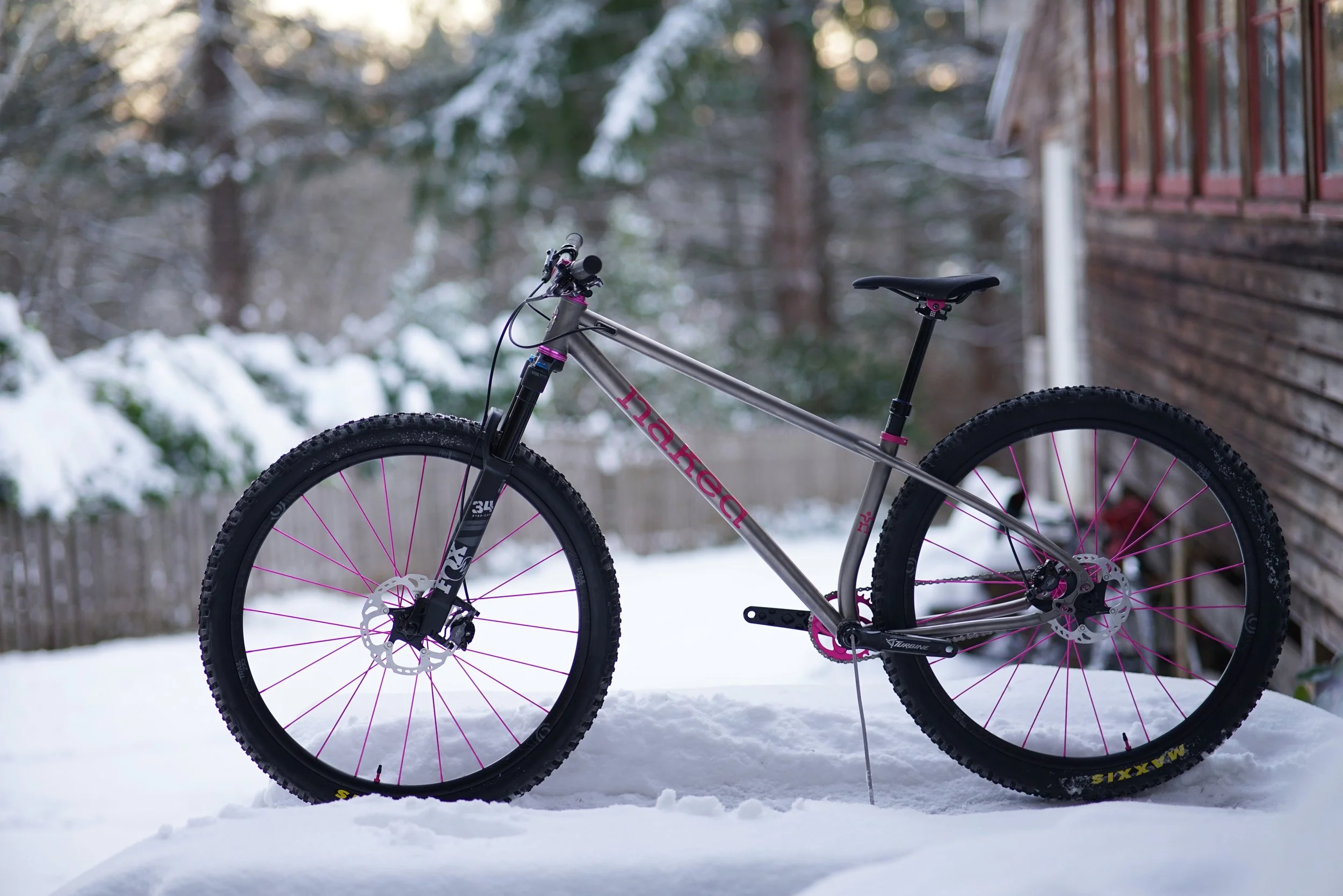 Naia's Ti 29er Singlespeed MTB