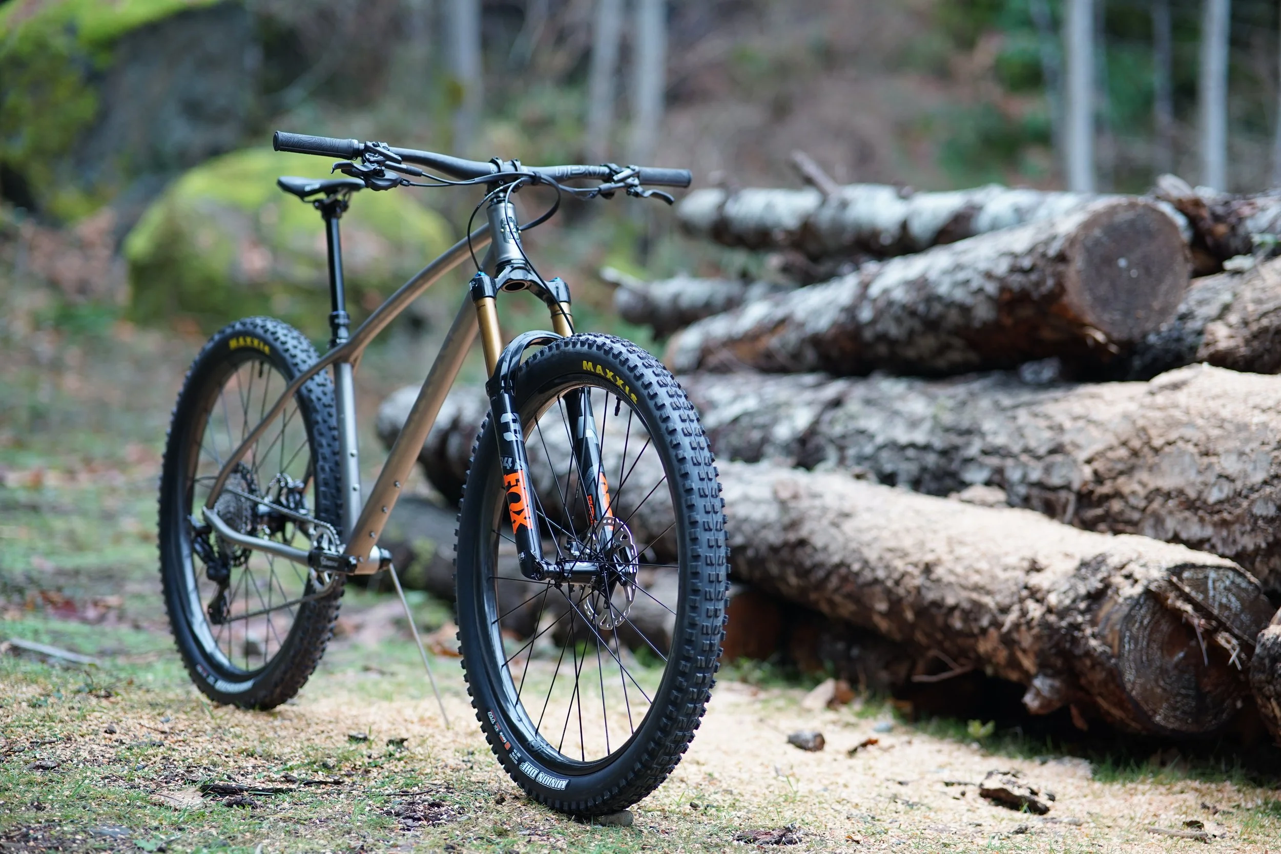 Roanne's Ti 29er Hardtail