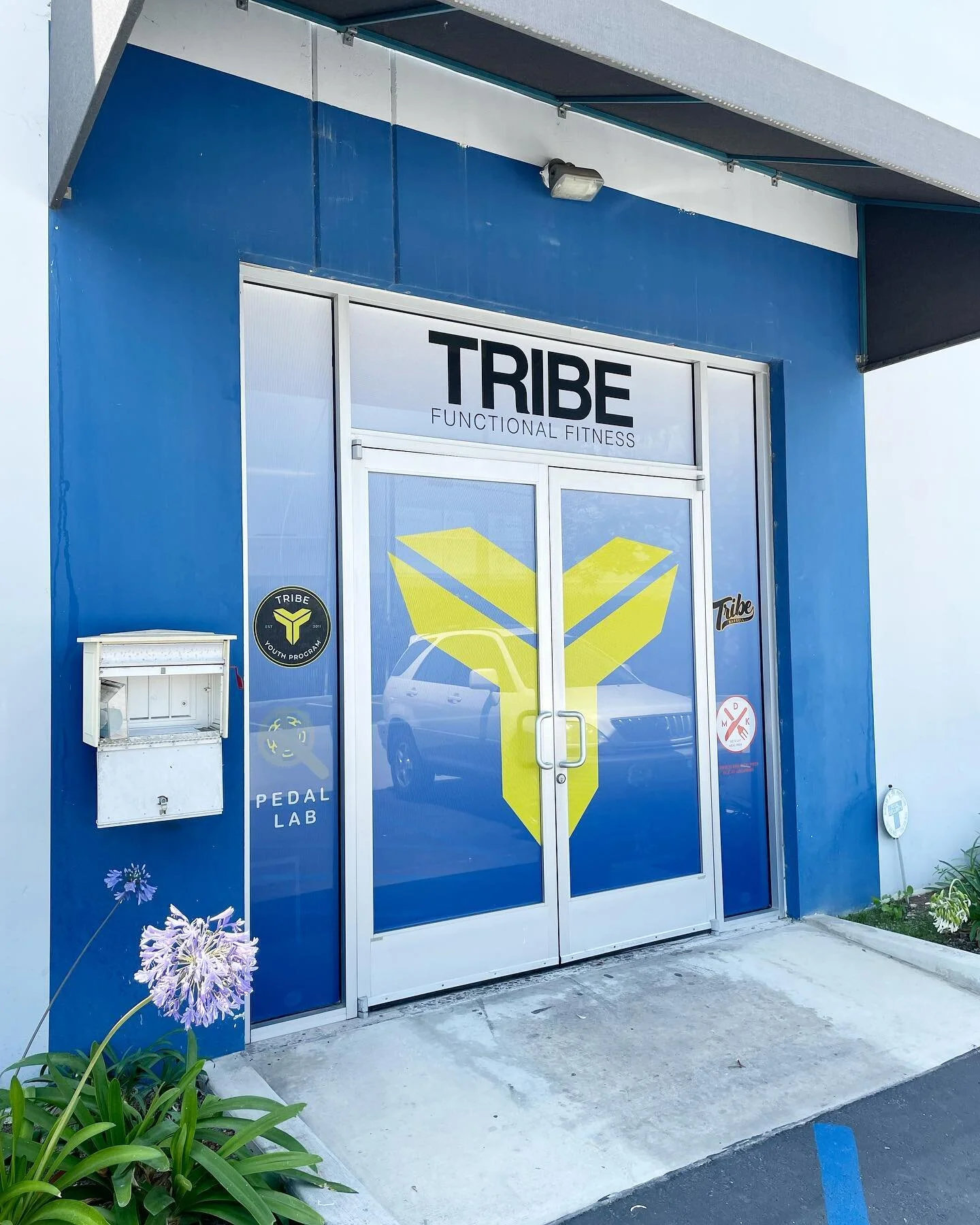 New window wrap for @tribefunctionalfitness