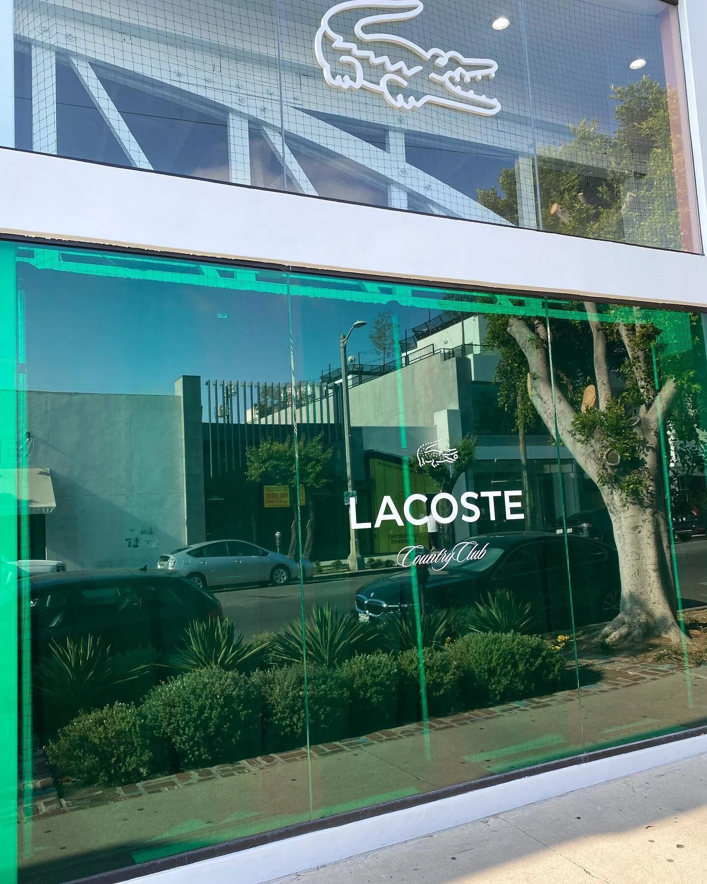 Latest Country Club pop-up at Lacoste
&bull;
&bull;
&bull;
&bull;
&bull;
#vinylinstallation #vinylinstaller #retailbranding #retaildisplay #vinylgraphics #diecutvinyl #vinyldecals #decal #pvcfree #pvcfreevinyl #environmentallyfriendly #ecovinyl #pvcf