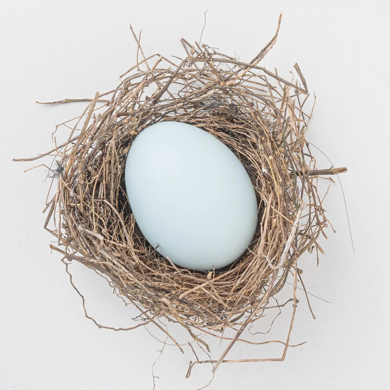 2022-egg-3.jpg