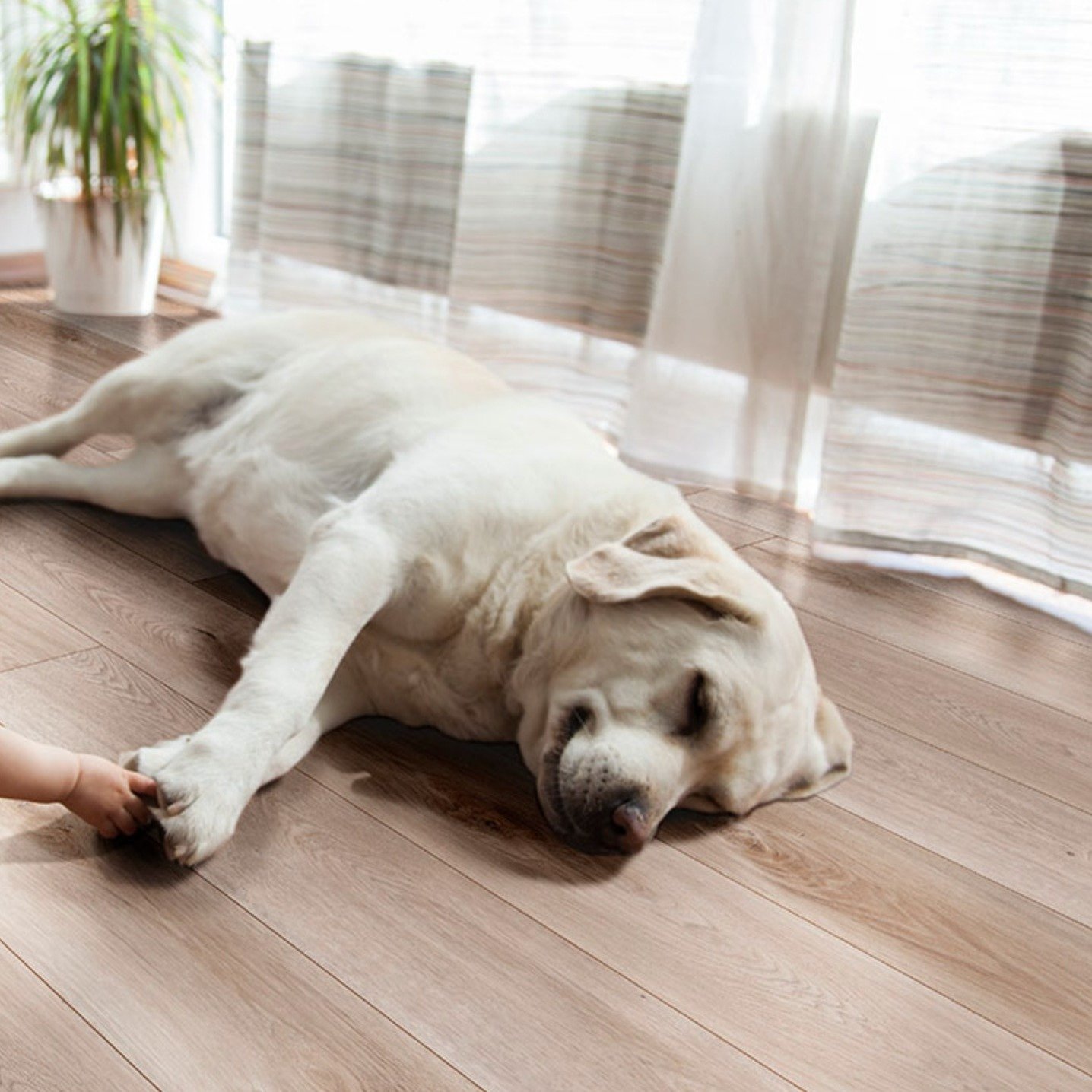 Is your flooring ready for the upcoming season? As we step into the outdoor season, make sure your floors can withstand rain boots, mud, and sand. 
Opting for LVP is an ideal choice due to its durability against pets and children. Explore our extensi