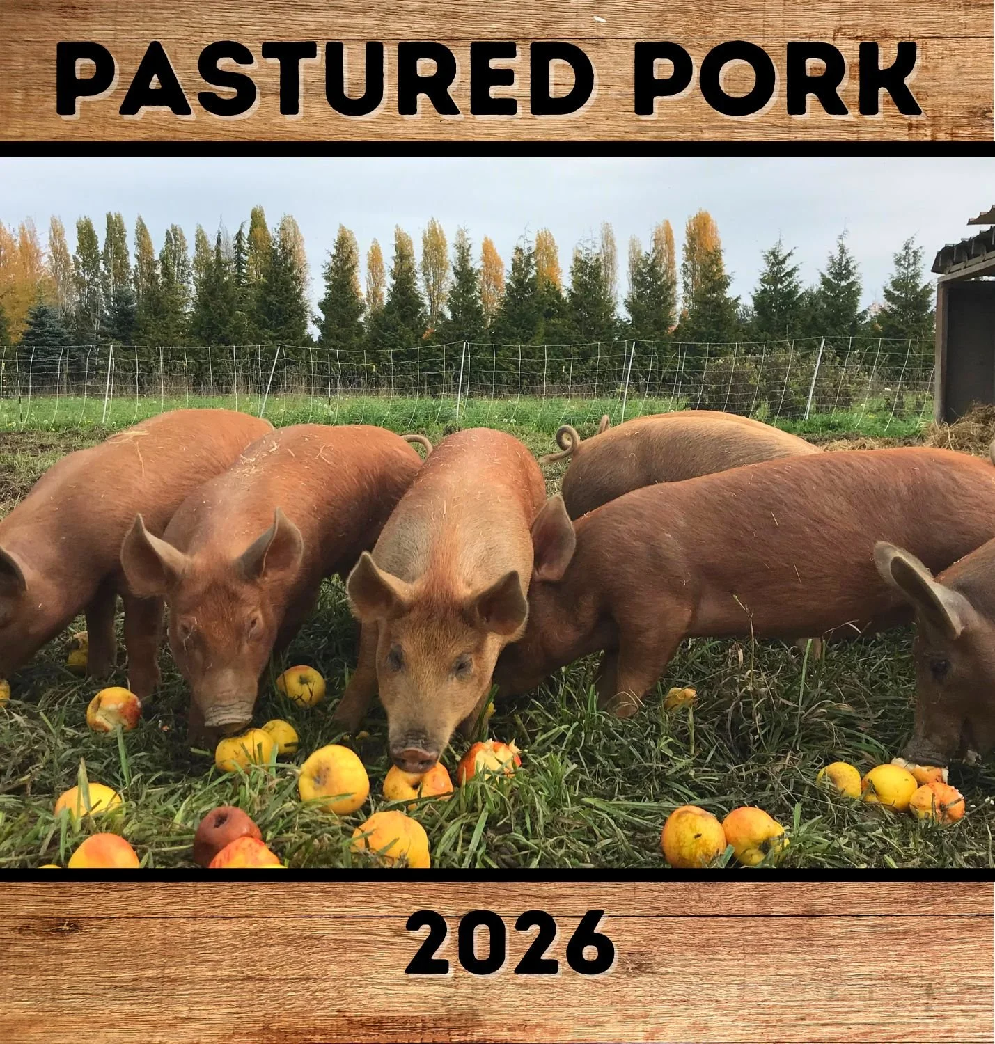 Pastured Pork- 2026