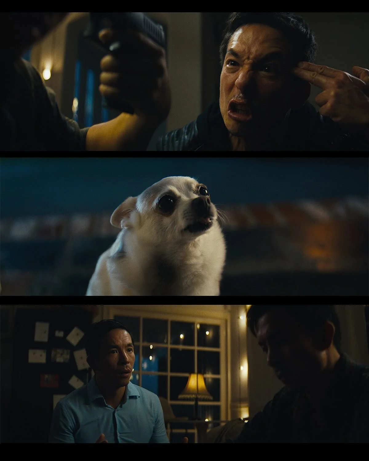 *NEW SHORT FILM OUT NOW* - Link in Bio - me and @joedaru  Made this short film in only 48 hours from concept to final delivery as we entered  the @agbofilms 48 hours film festival competition. 

Making a full film in 48 hours while trying to keep sta