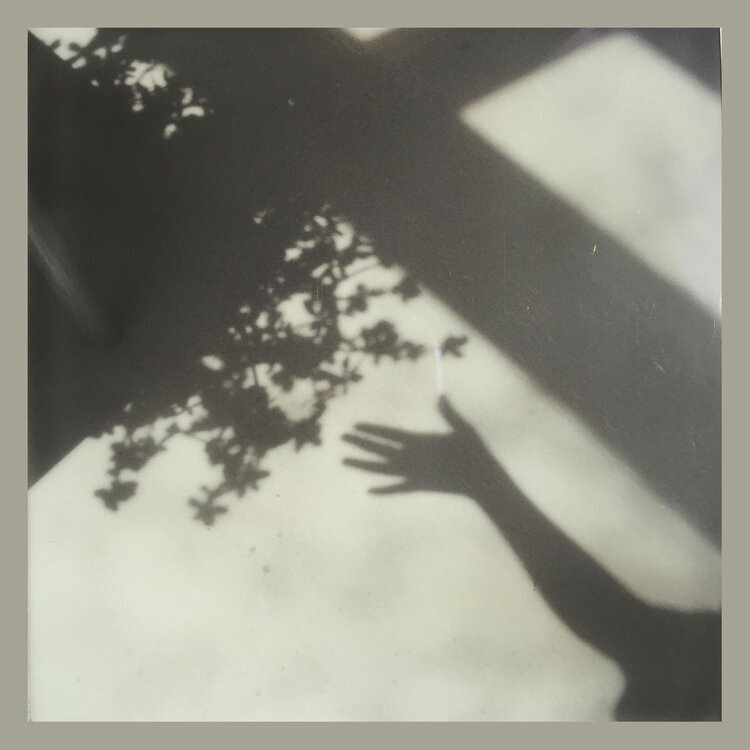 (5.11.20) Why Do I Recognize You? By Michellie Reis