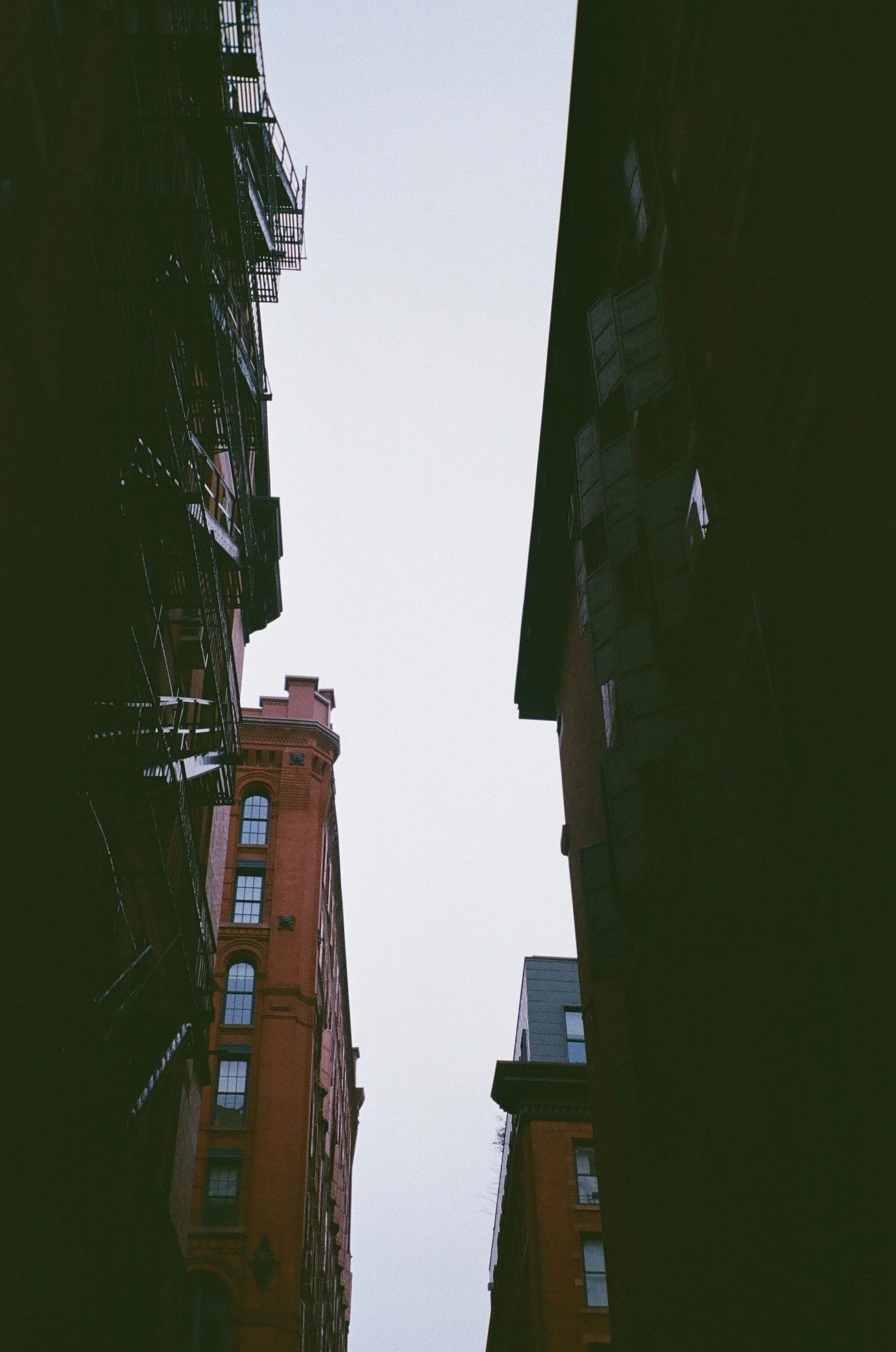 (8.7.2020) My Vertical City by Aviva Pusey