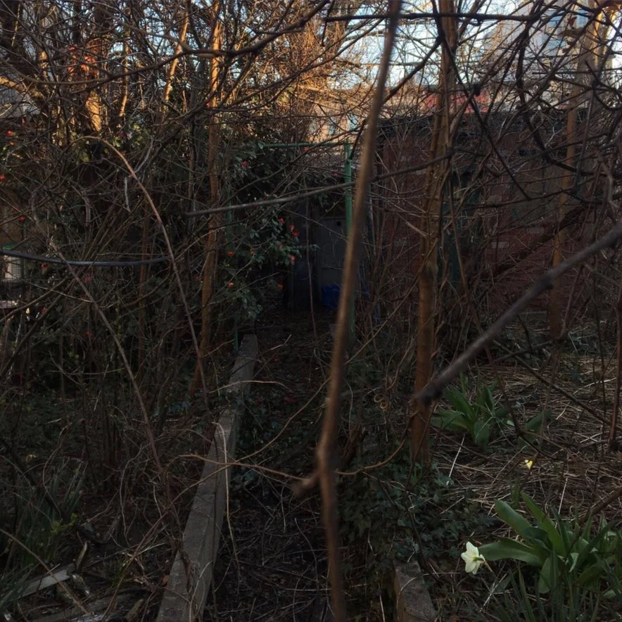 (4.10.2020) February By Coral Dawley  