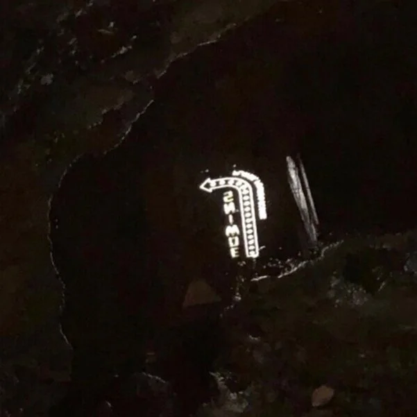 (4.15.2020) Calling To By Marielle Glasse