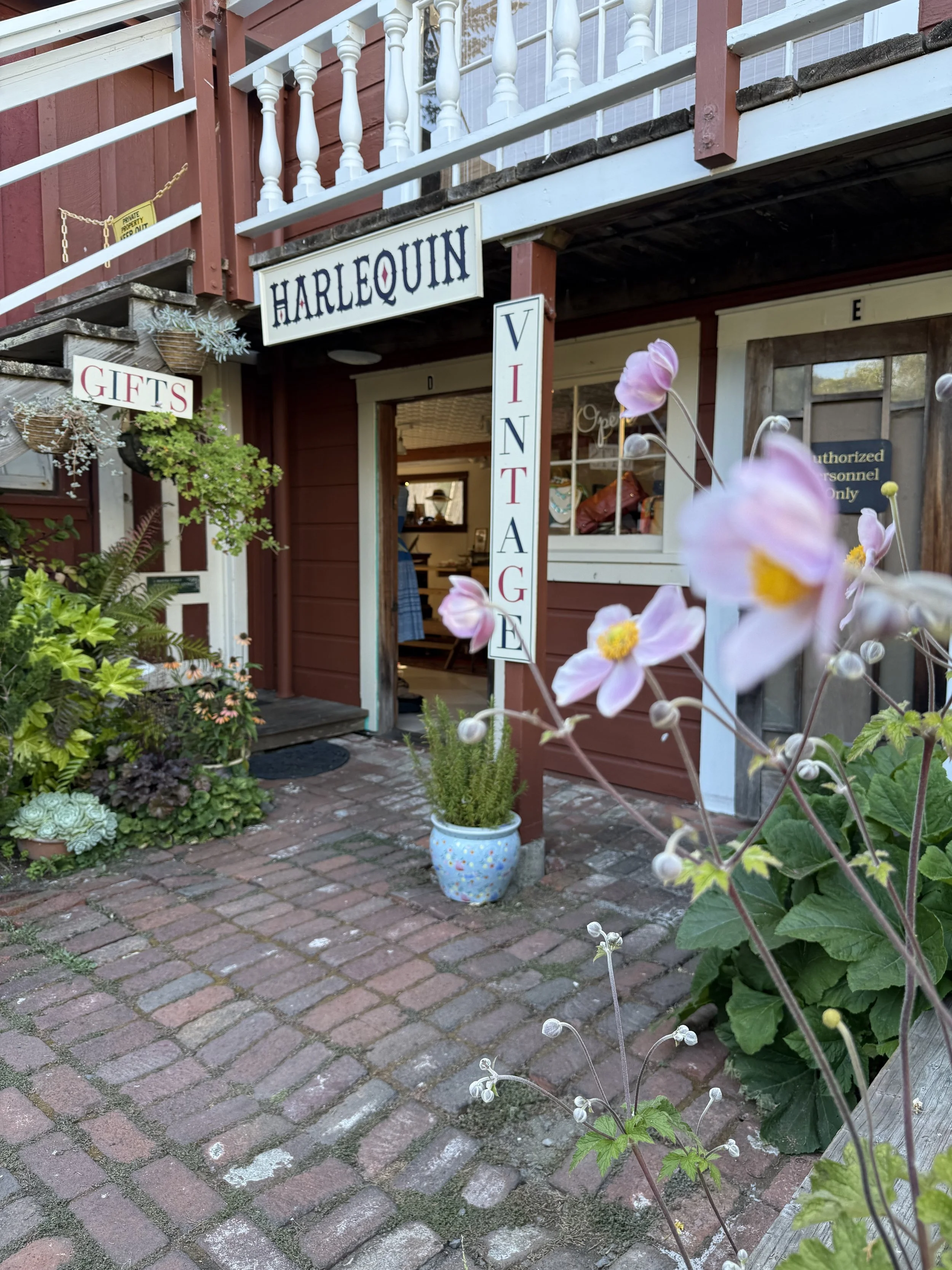 Summer reflections...