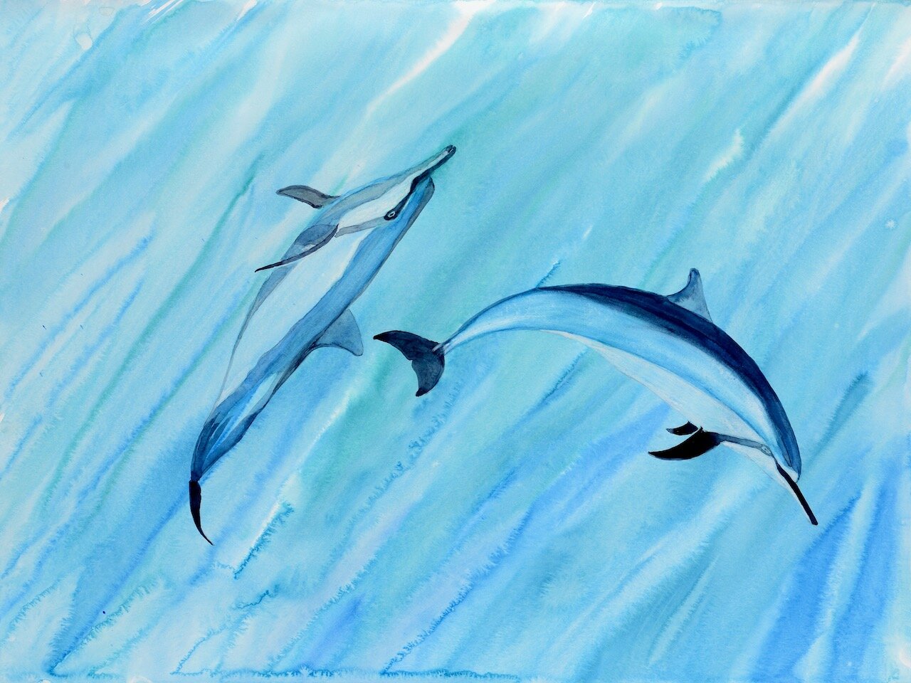 Dolphin Play 18x24.jpeg