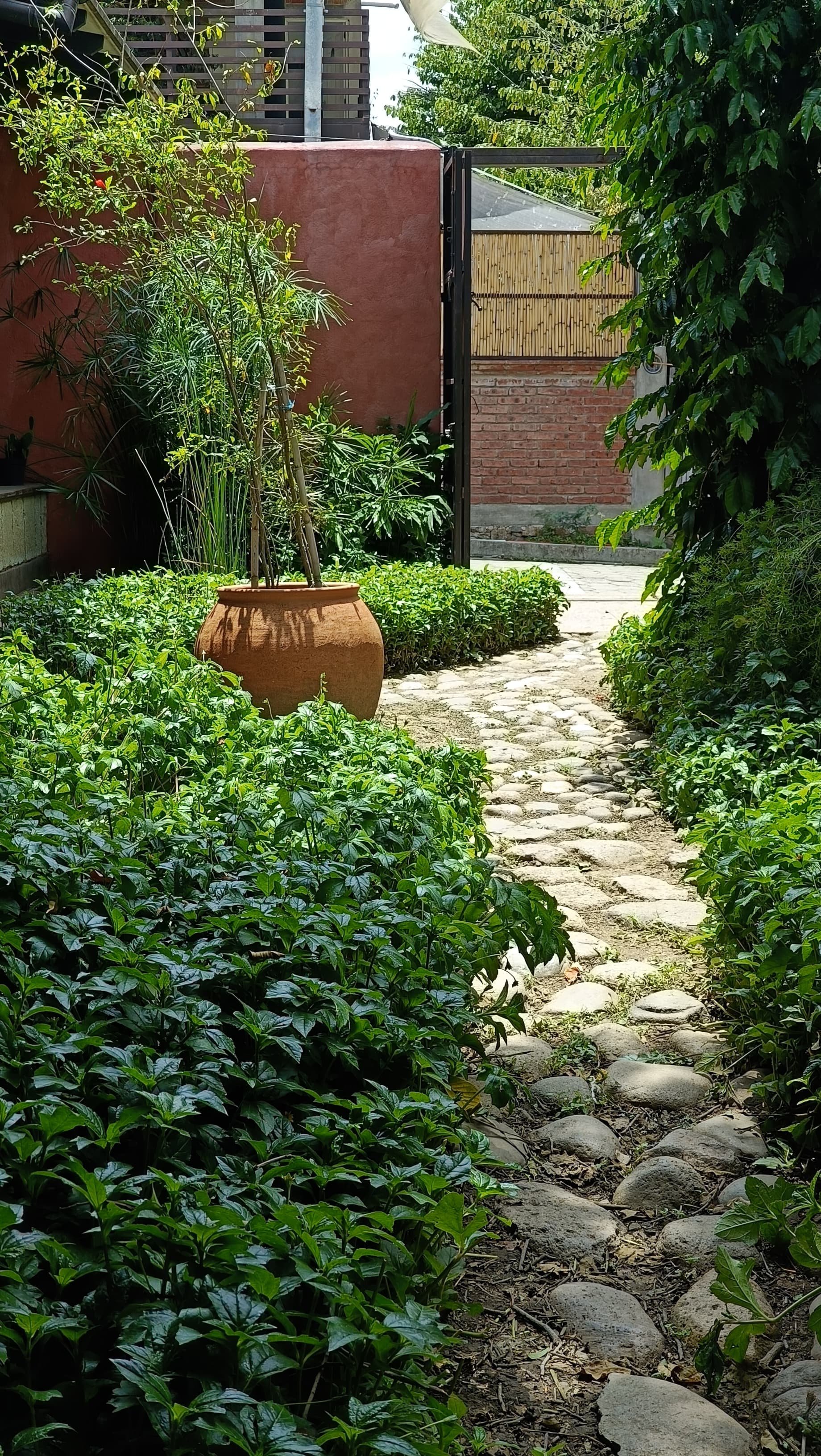 WhatsApp Image 2025-09-27 at 12.07.51.jpeg