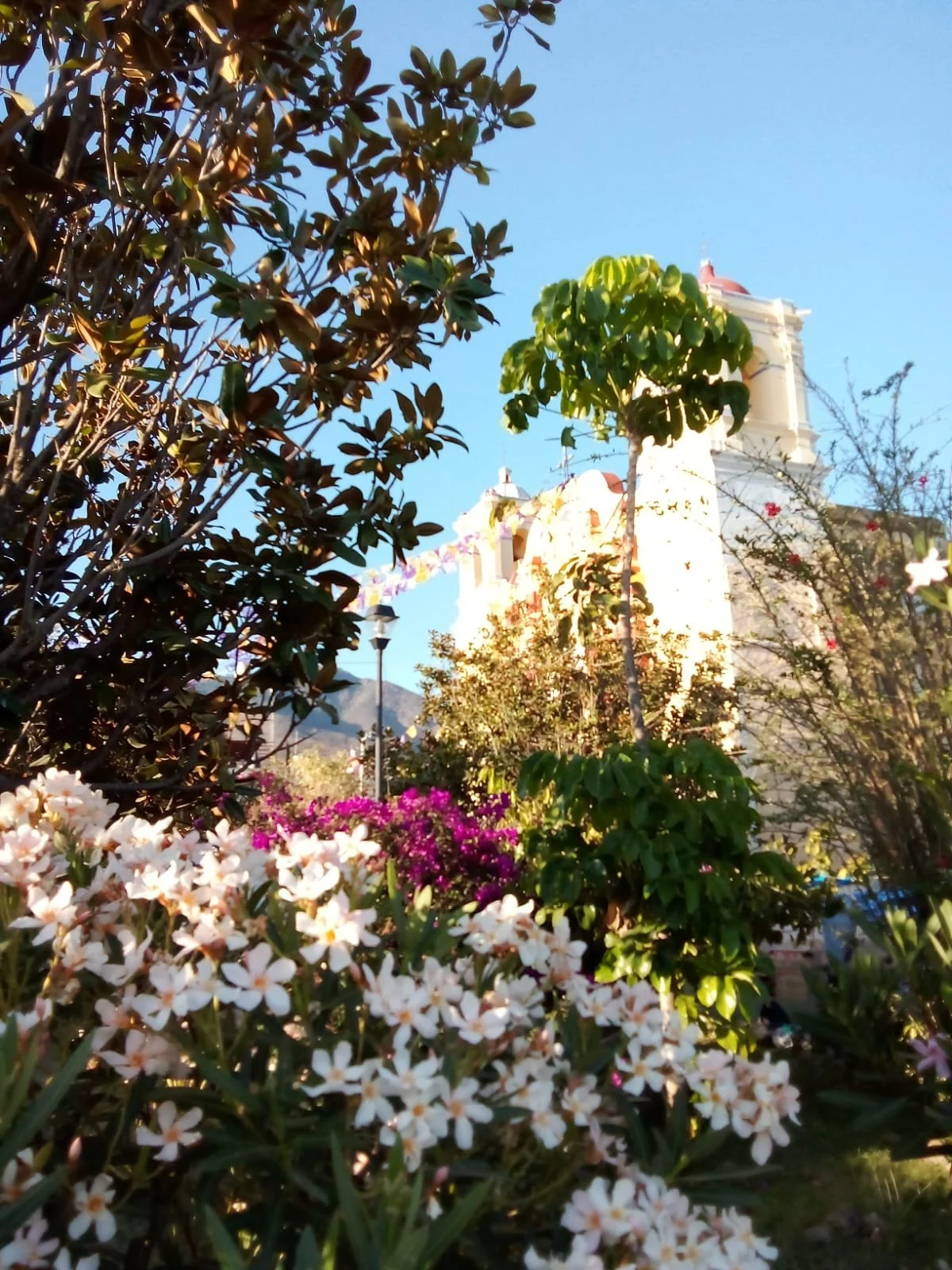 WhatsApp Image 2025-09-26 at 12.17.48.jpeg