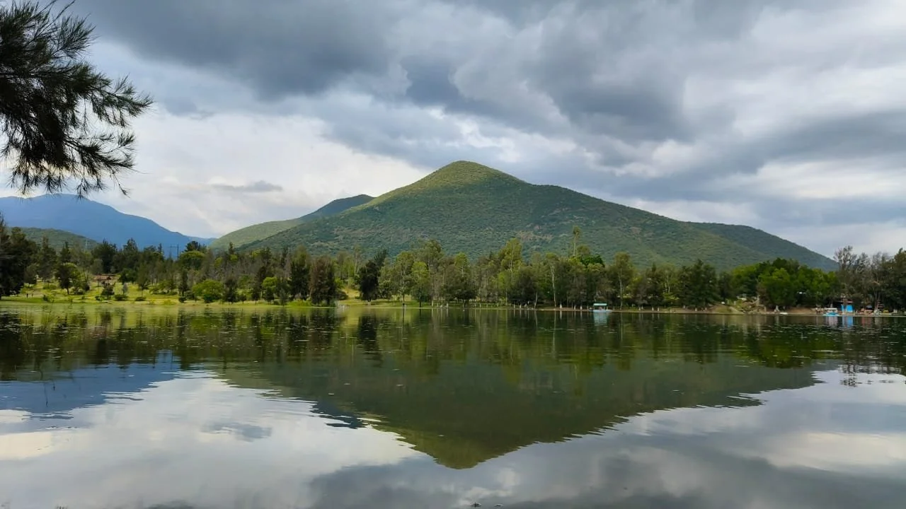 WhatsApp Image 2025-09-28 at 19.54.50.jpeg