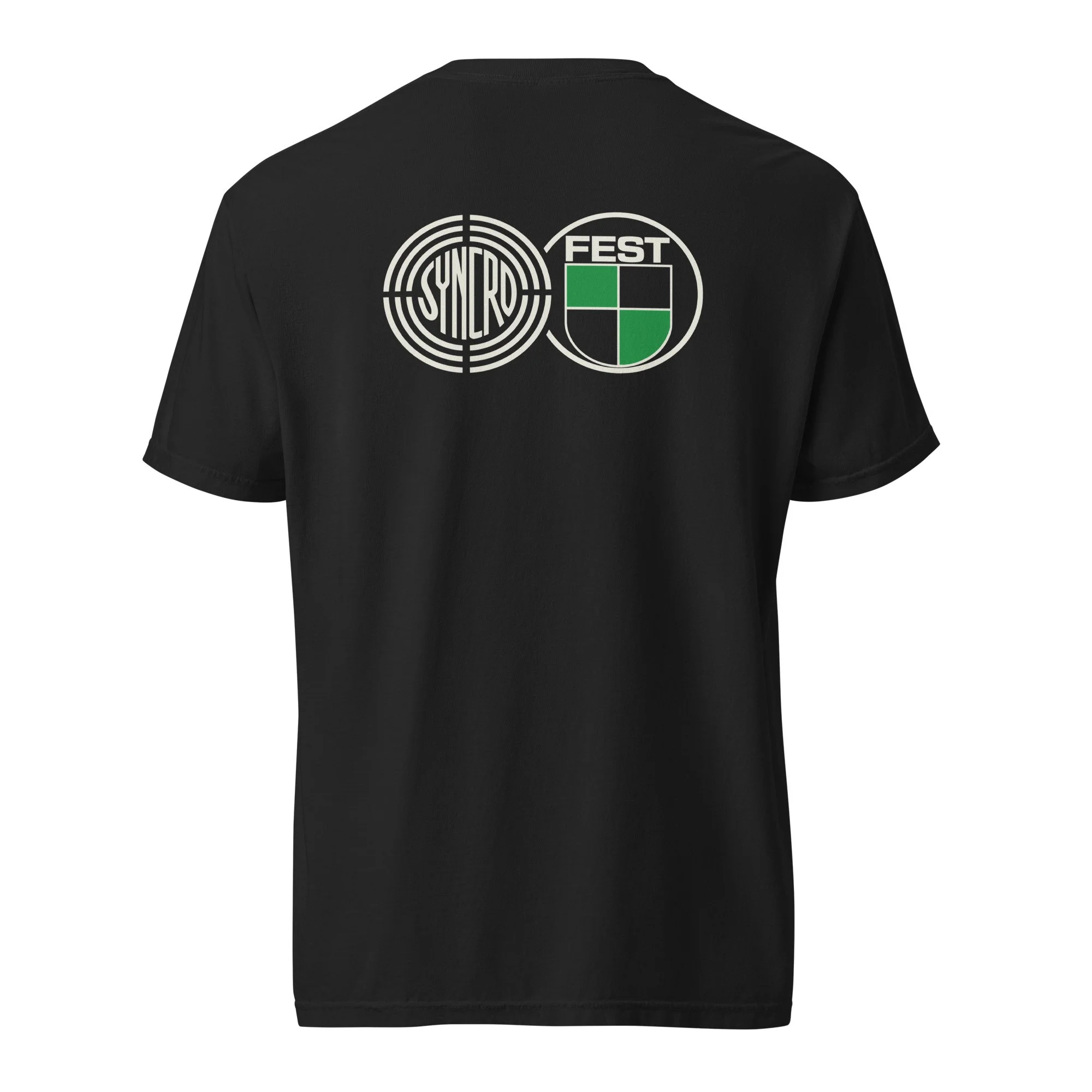 unisex-garment-dyed-heavyweight-t-shirt-black-back-6a04031ee3700.jpg
