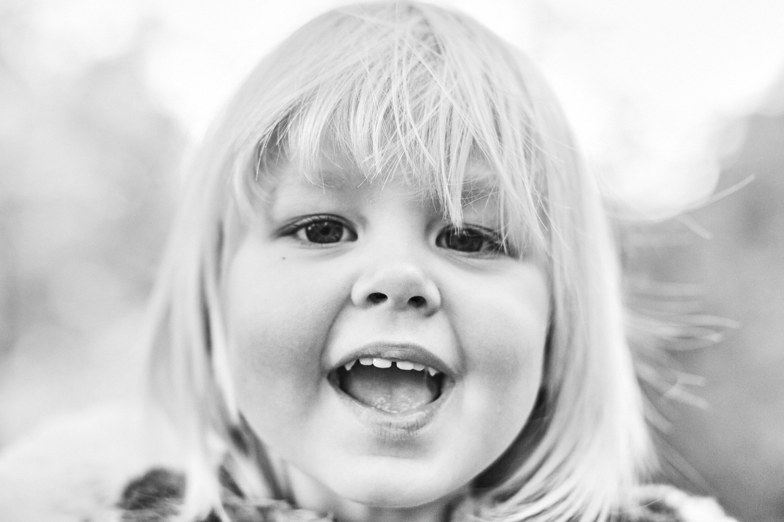 Portfolio Reprocess_01.jpg