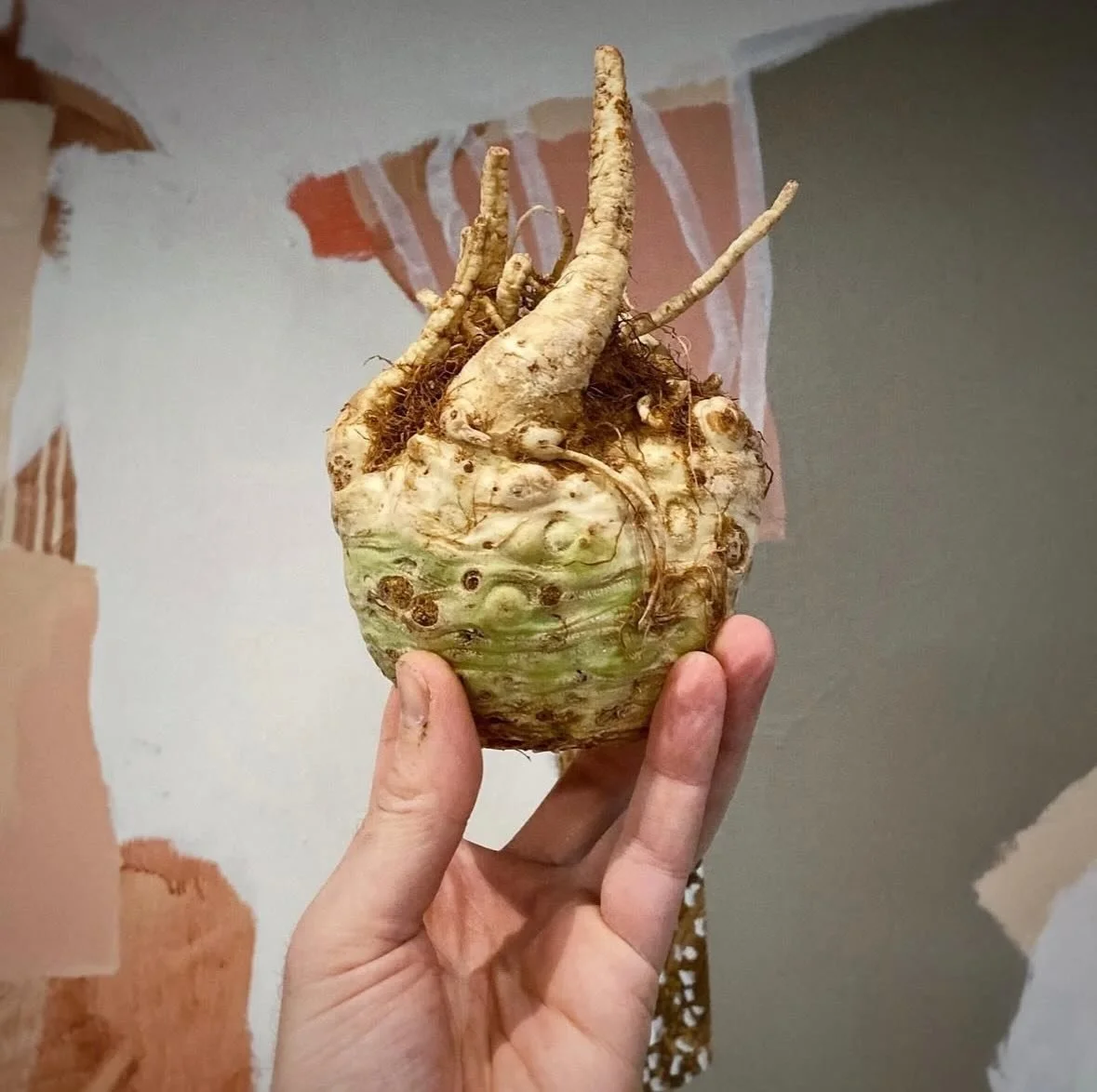 Celery root is back for our latest second course veggie dish! 

#dinneratbarbs #bybarbara #barbararestaurant #chinatown #chinatownvancouver #chinatownyvr #supportlocalbusiness #supportlocal #supportlocalrestaurants #vancouverrestaurants #vancouverbus