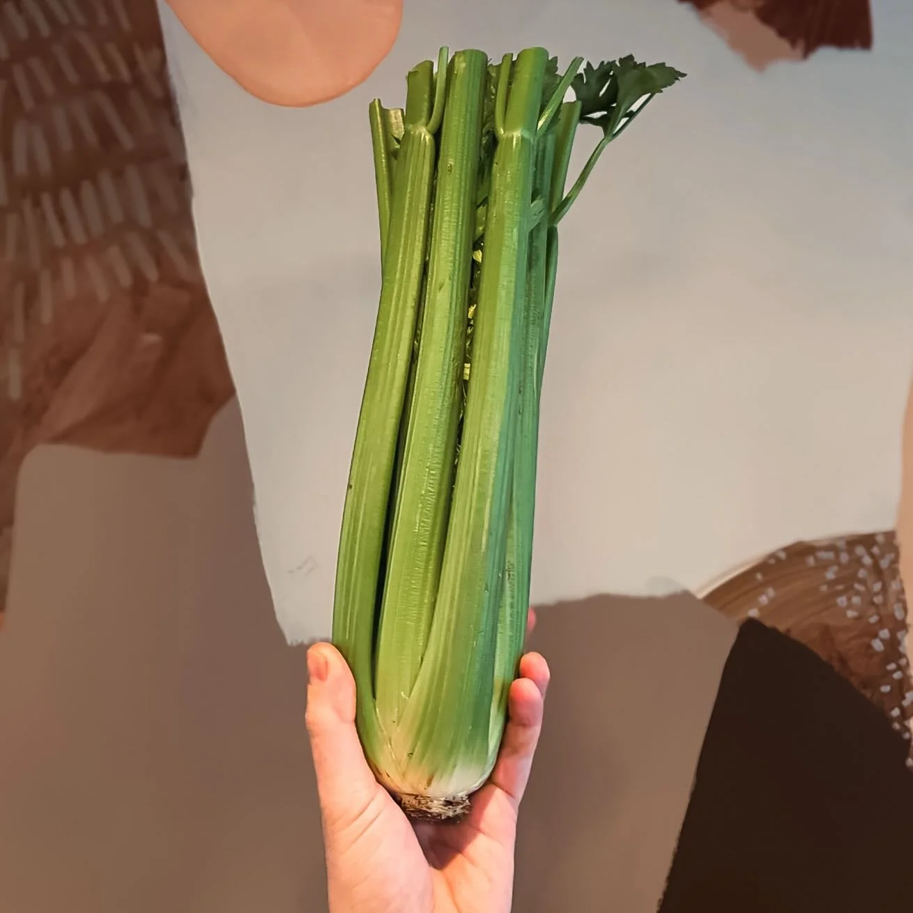 The humble, yet mighty, celery!
&hellip;with a side of stracciatella 😉
Coming soon!

#barbararestaurant #vancouverrestaurant #bcwines #chinatownvancouver #barbaravancouver