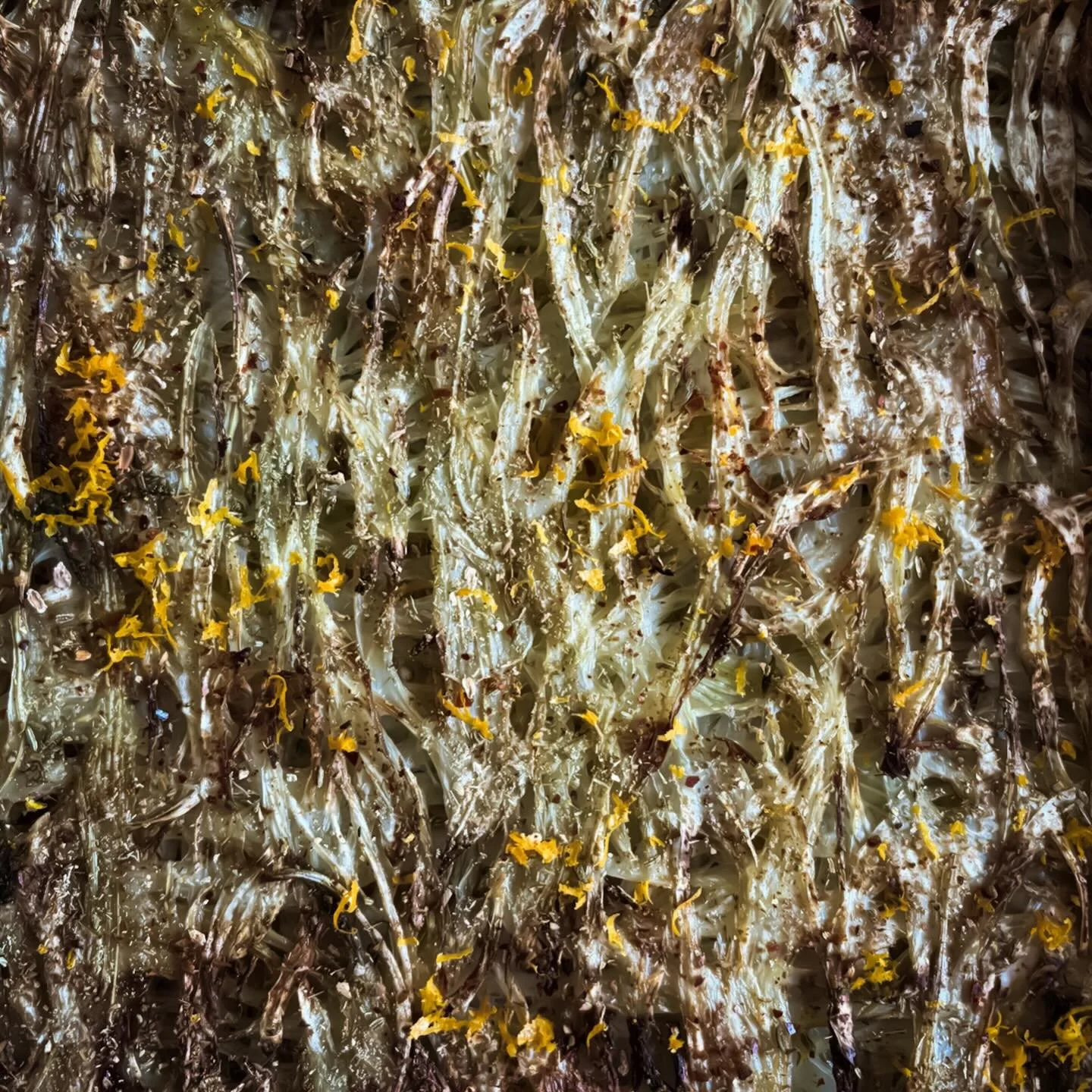 Fennel pav&eacute; - as part of our new pork neck dish! 

#barbararestaurant #vancouverrestaurant #bcwines #chinatownvancouver #barbaravancouver