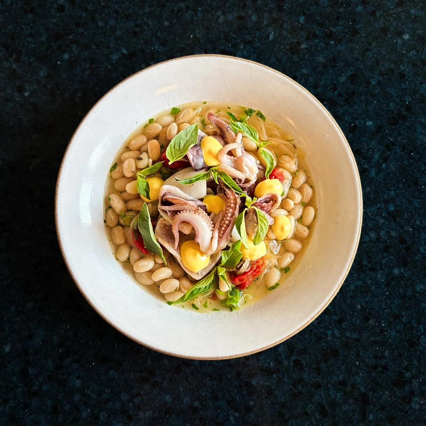 SQUID

Navy beans, preserved tomato, basil

#barbararestaurant #vancouverrestaurant #bcwines #chinatownvancouver #barbaravancouver