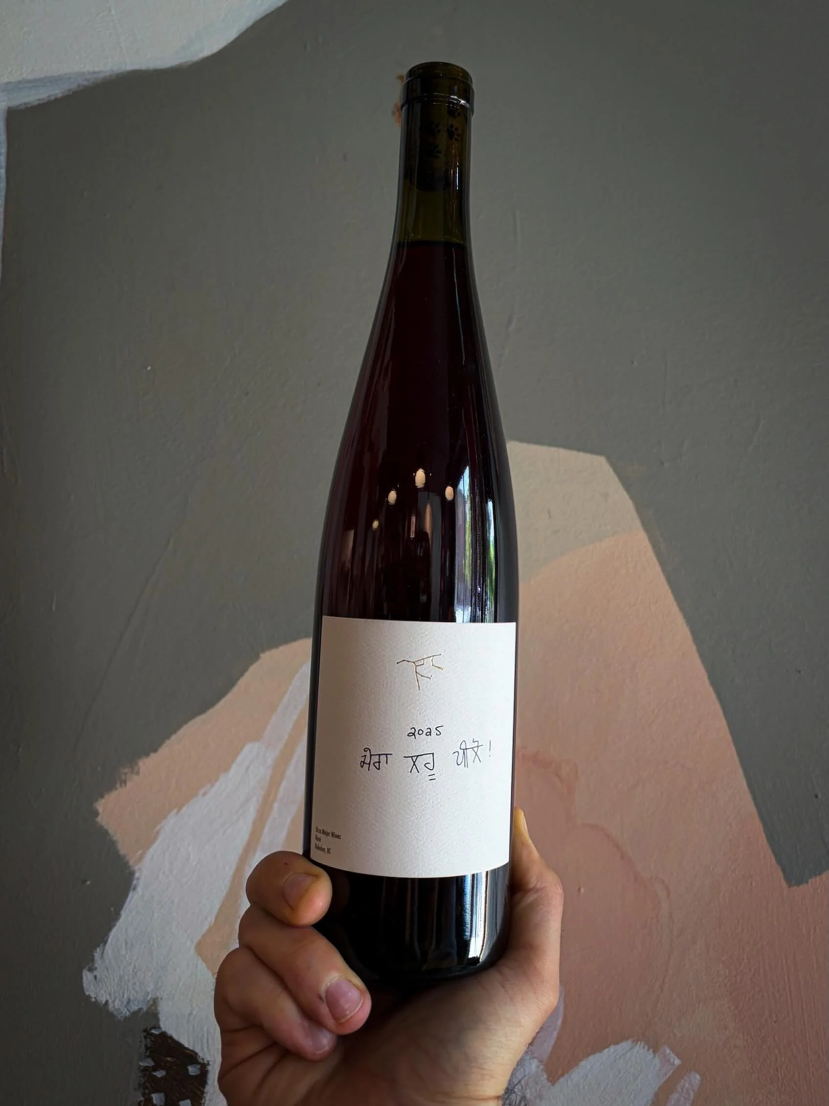 Ursa Major 2025 Ros&eacute;

Organically farmed Cabernet Franc and Pinot Noir grown in Kaleden, overlooking Skaha Lake. Organically farmed Gamay, grown at Mariani Vineyard in Naramata, overlooking Okanagan Lake.

The Cabernet Franc was destemmed comp