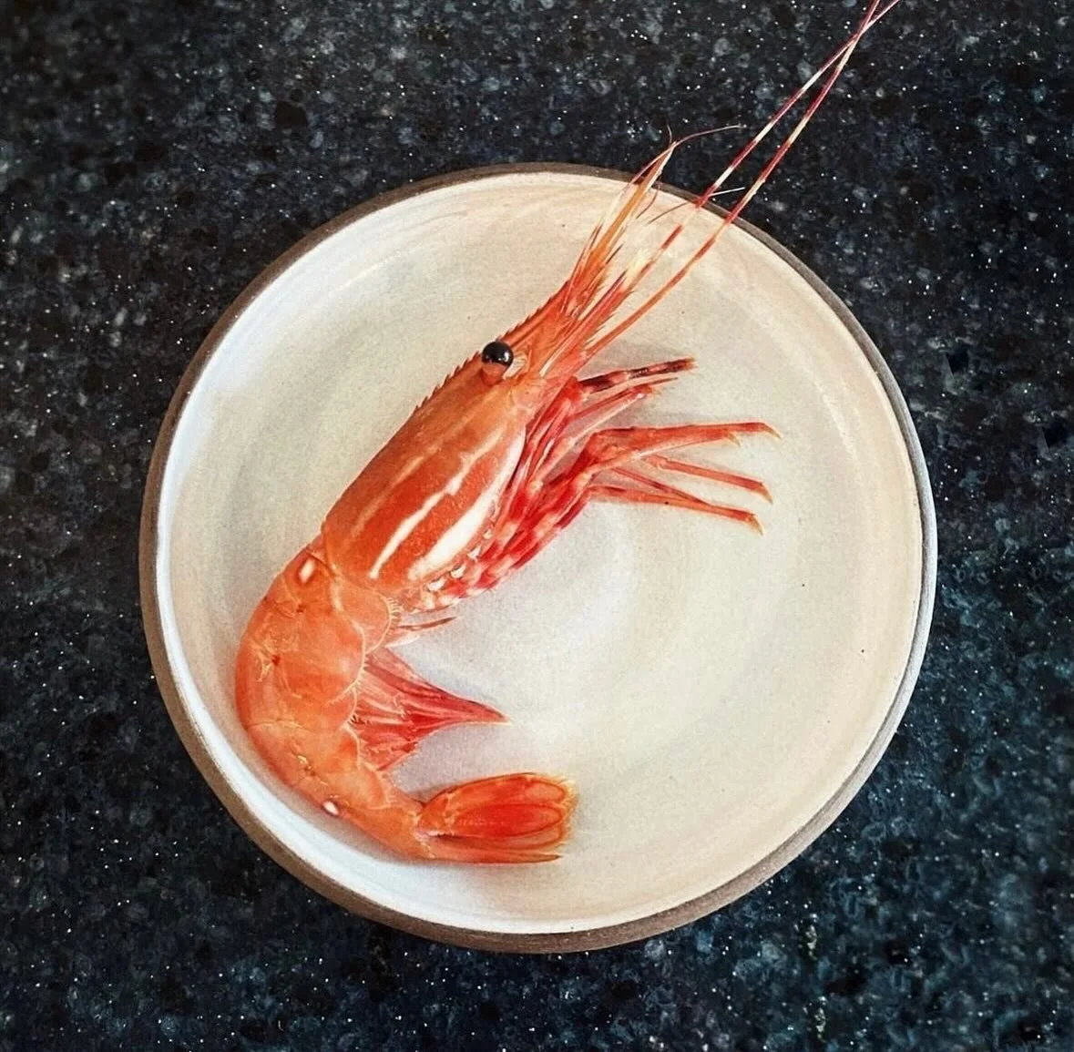 Spot prawn season is back! 

#barbararestaurant #vancouverrestaurant #bcwines #chinatownvancouver #barbaravancouver