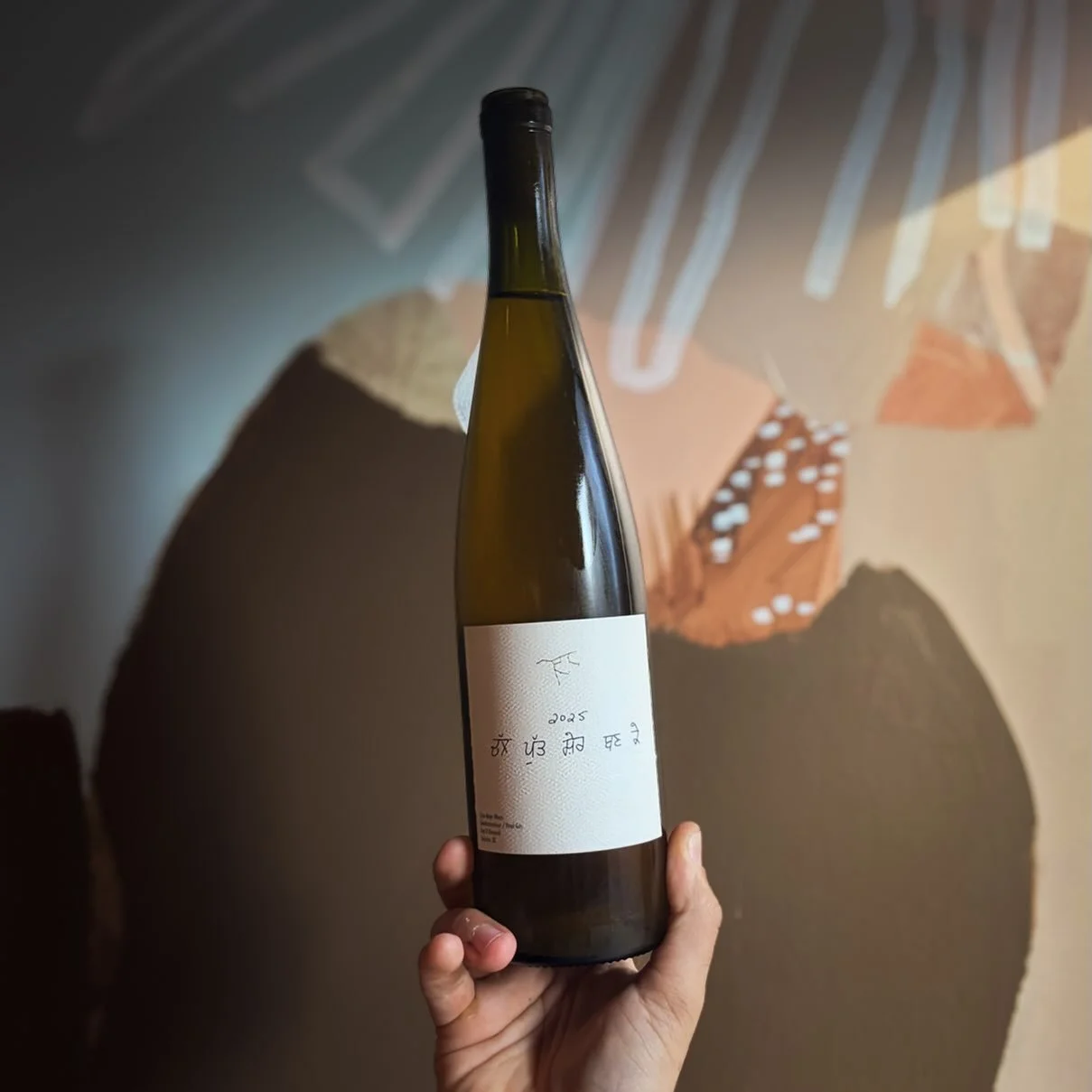 @ursamajorwinery 2025 Pinot Gris/Gew&uuml;rztraminer 

Organically farmed at Gen V Vineyard, which sits above Skaha Lake in the village of Kaleden, Okanagan. The vines are planted North to South on a gentle slope above a large terrace. The soil consi