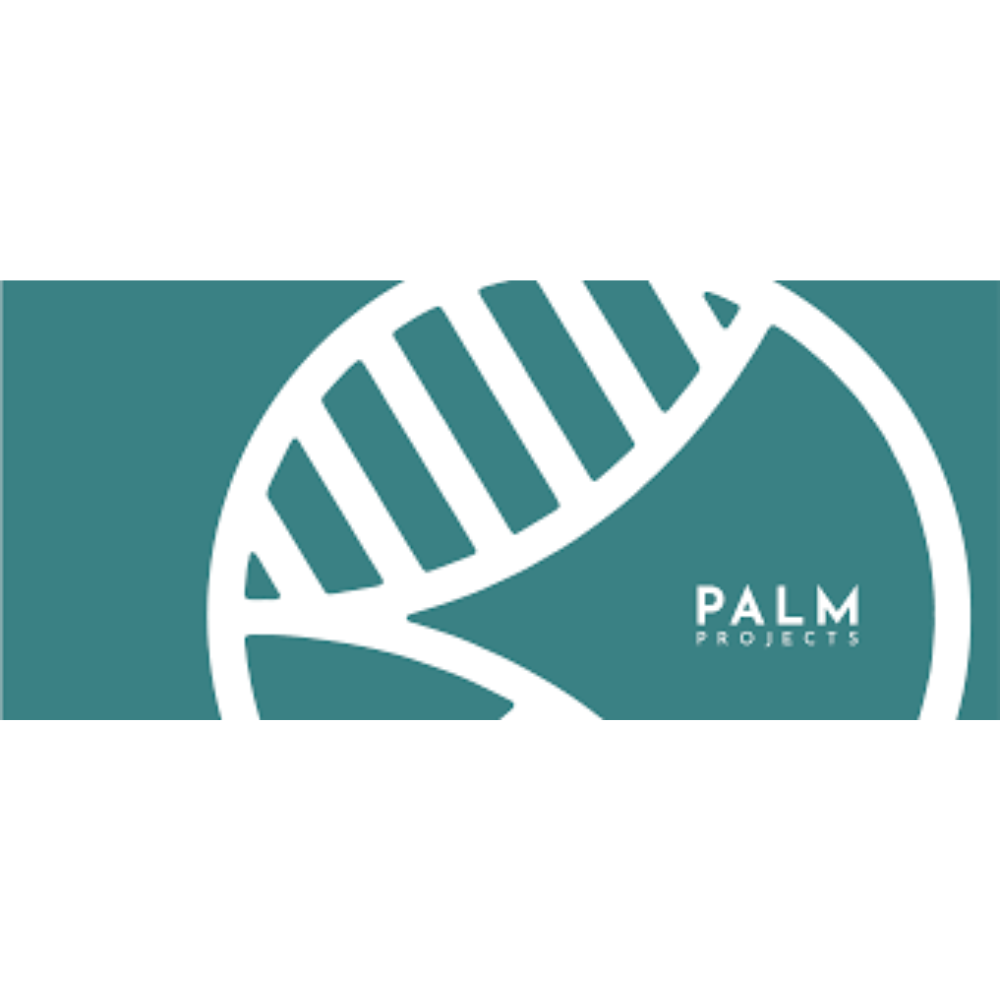 Palm Projects Logo 