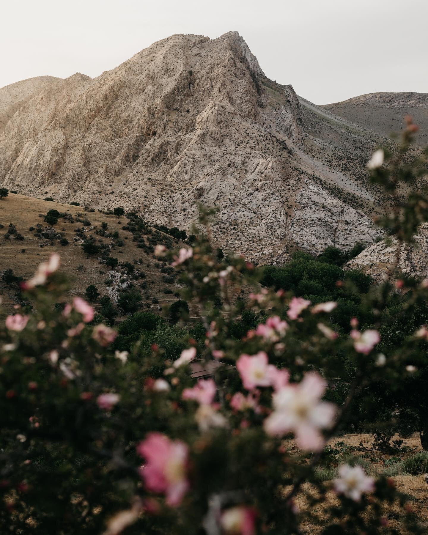 Jizzakh Region, Uzbekistan 🇺🇿 
The smell of sagebrush, wild roses and cow poop reminded me so much of my Canadian province of Saskatchewan. If I closed my eyes I could pretend I was there. Then I would open them to be reminded that I was surrounded