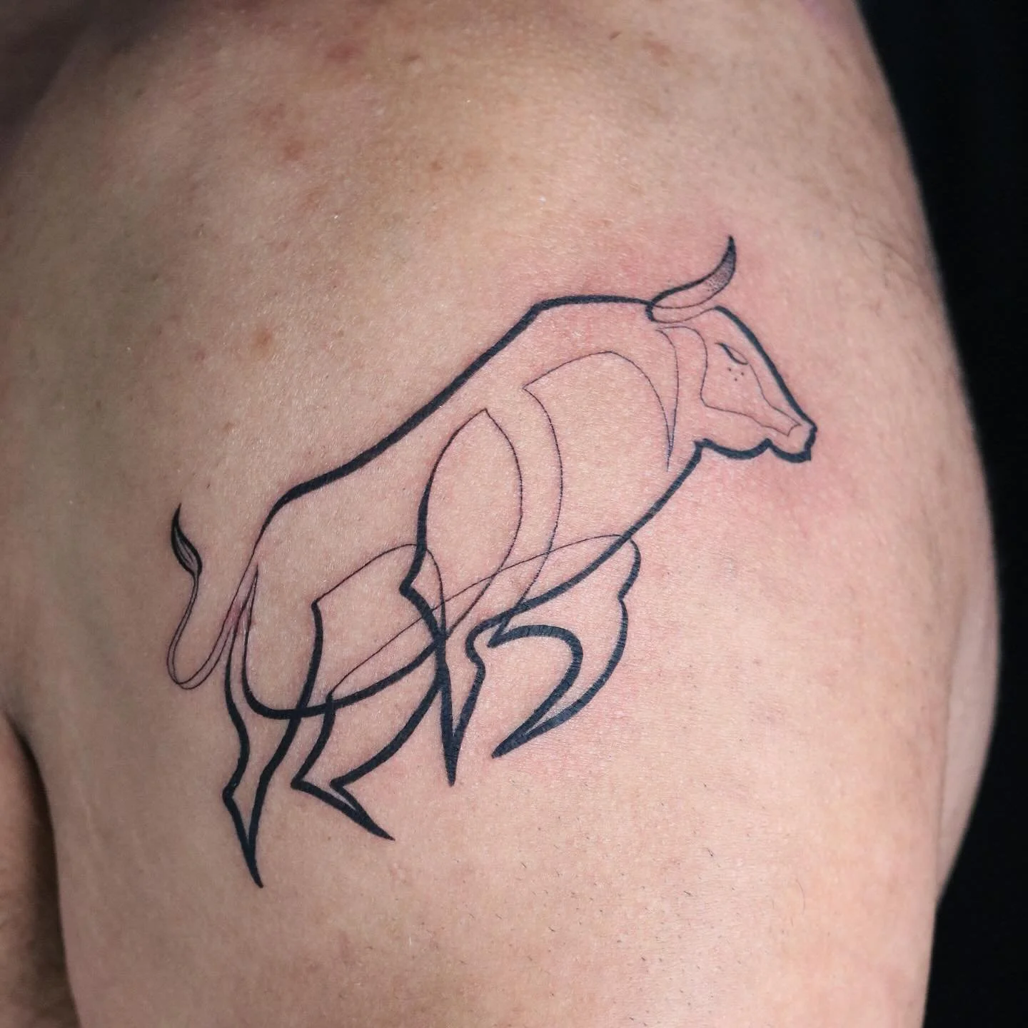 Toro de oro

Really fun doing this one. I&rsquo;ve always loved the contrast of different line weights.

Also fit in a nice symbolical family piece with the &ldquo;sg&rdquo;

Done in San Francisco 
&bull;
&bull;
&bull;
&bull;
&bull;
#singleneedle #de