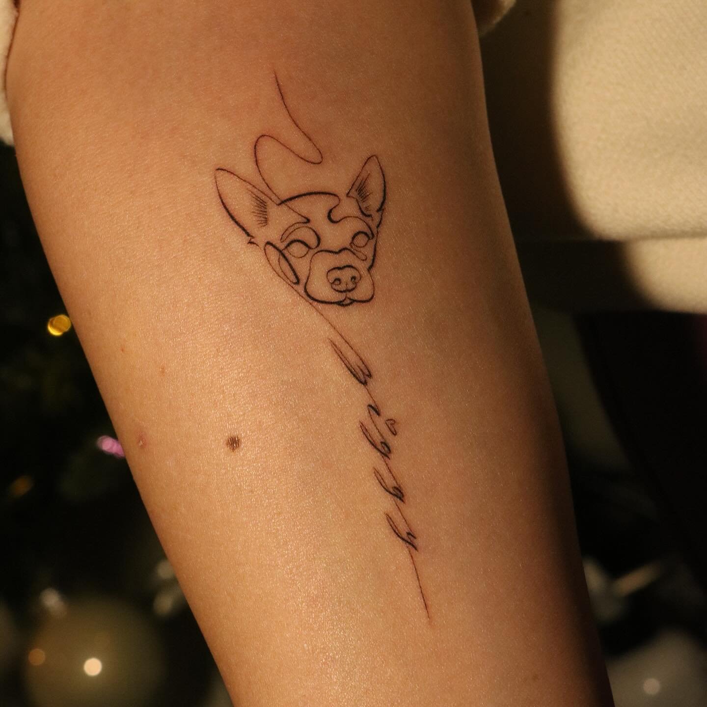 For Ziggy.

It was nice making this design. I&rsquo;ve always had an interest in minimal line work type of art.

Had a nice time doing this tattoo.
&bull;
&bull;
&bull;
&bull;
&bull;
#singleneedle #delicate #dainty  #tattoo #ink #artist #sanfrancisco