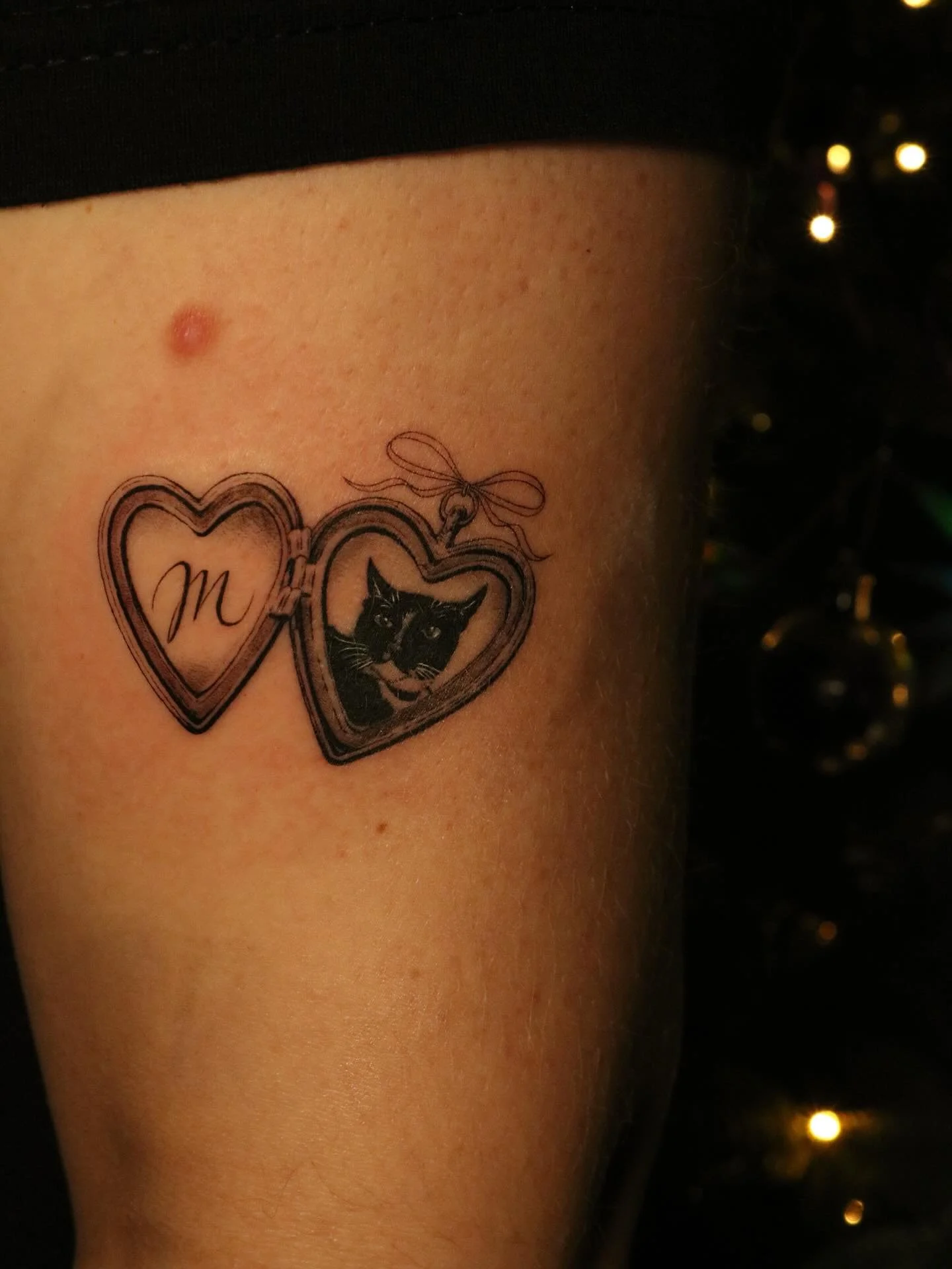 For mochi, your momma loves you.

Will heal just in time for v-day 👌🏽
&bull;
&bull;
&bull;
&bull;
&bull;
#singleneedle #delicate #dainty  #tattoo #ink #artist #sanfrancisco #bayarea #fineline #cat #cattattoo