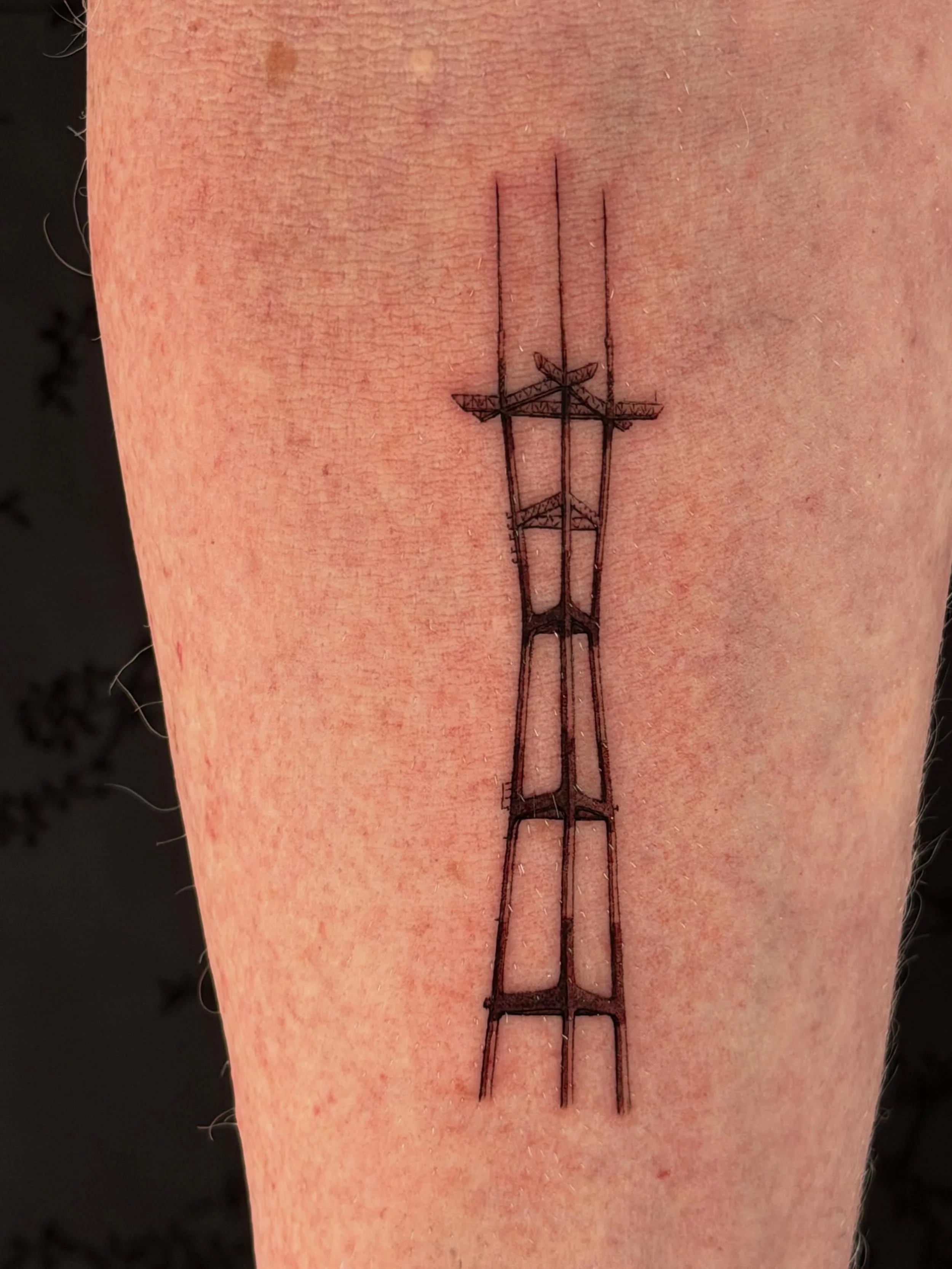 Sutro tower

Legendary icon of the city

One of my favorite things to tattoo