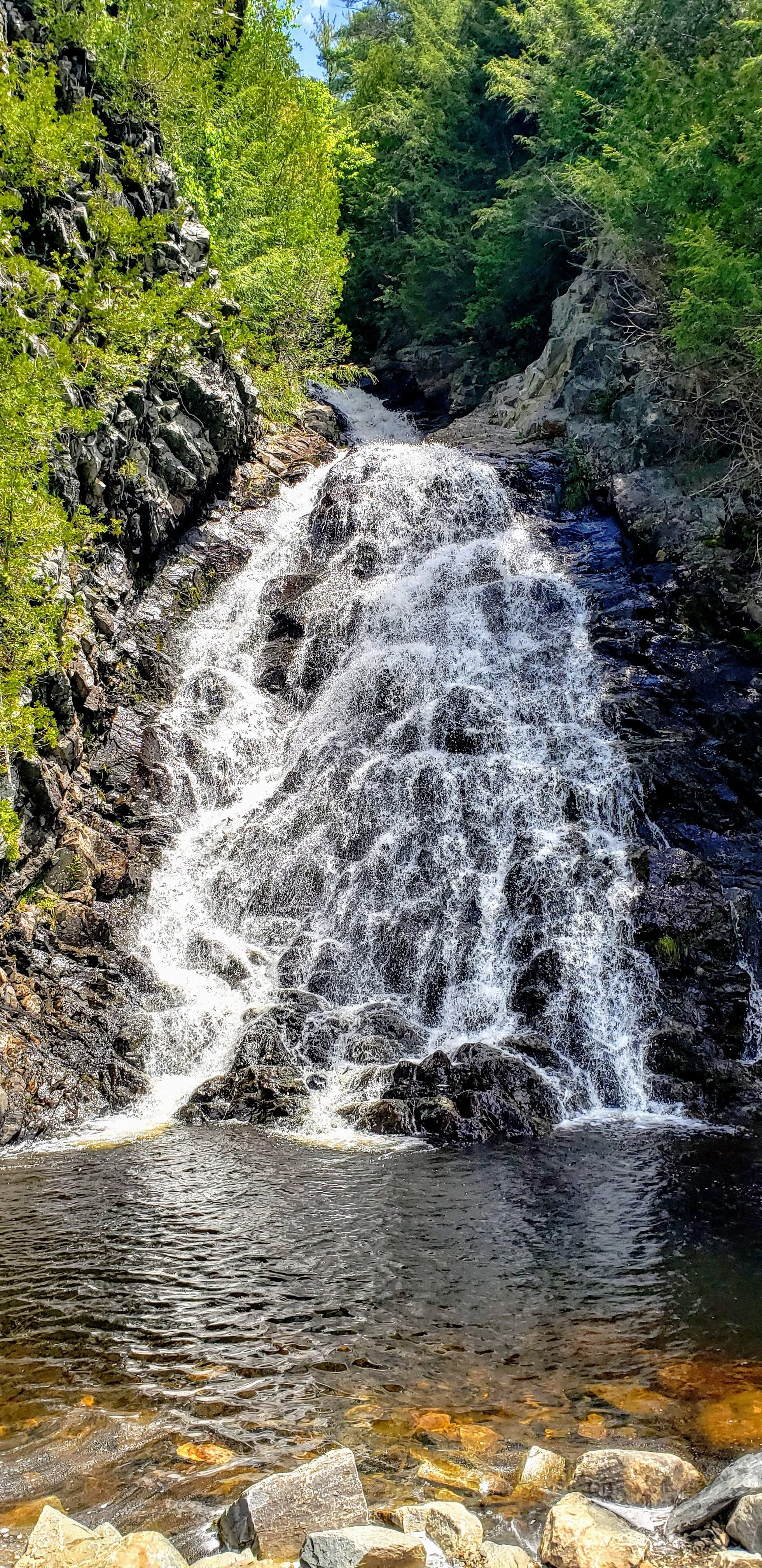 20190609_123213.jpg