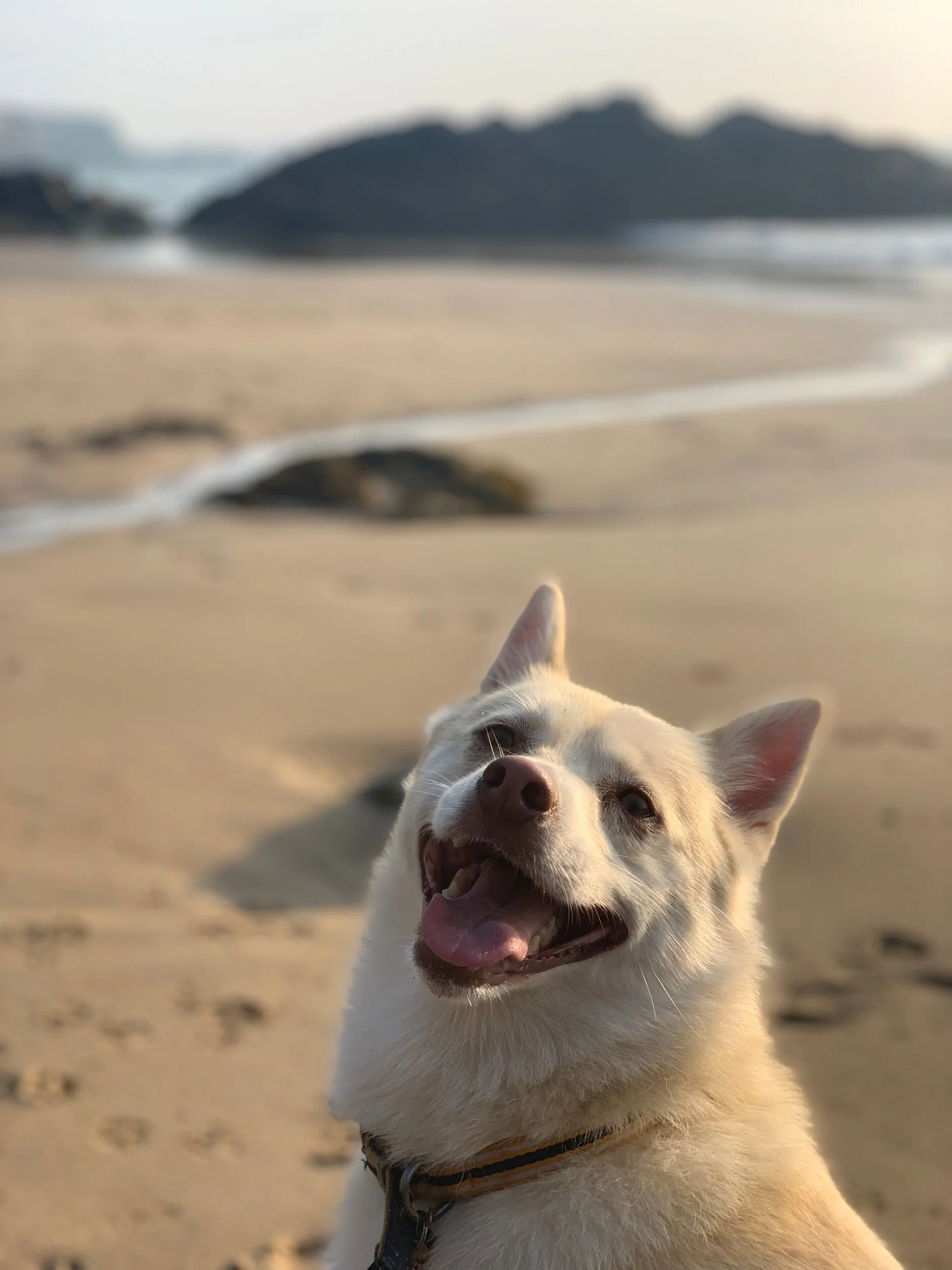 Although starting over in Newquay isn’t the worst thing in the world. Especially with this guy.