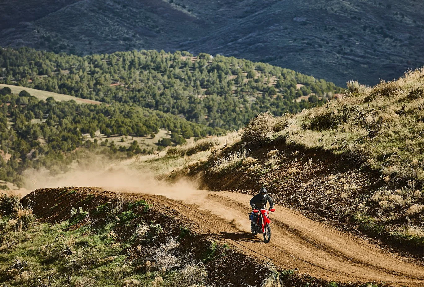 CRF250RL_Action_MY27_14046_rt_medres.jpg