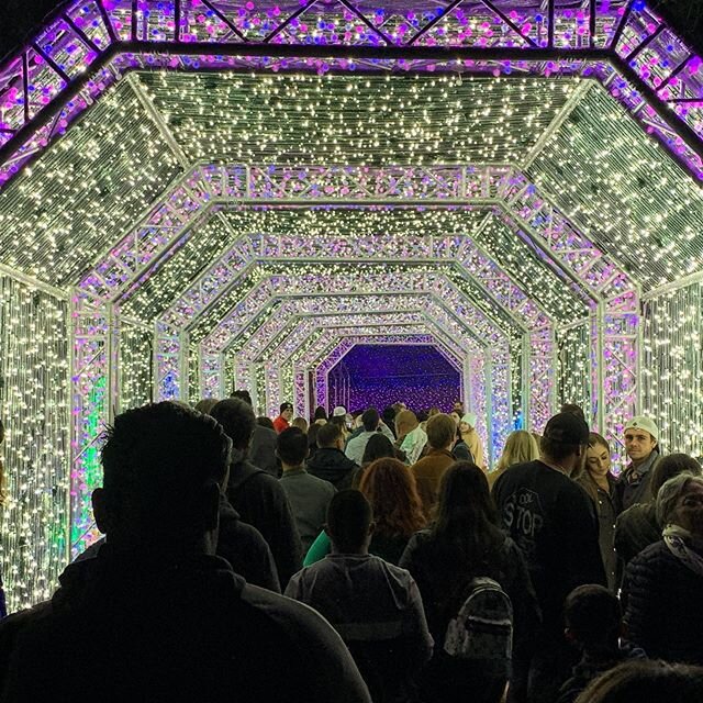 Entering the Tunnel of lights at the LA Zoo. It&rsquo;s a dazzling Christmas experience. #lazoolights #merrychristmas