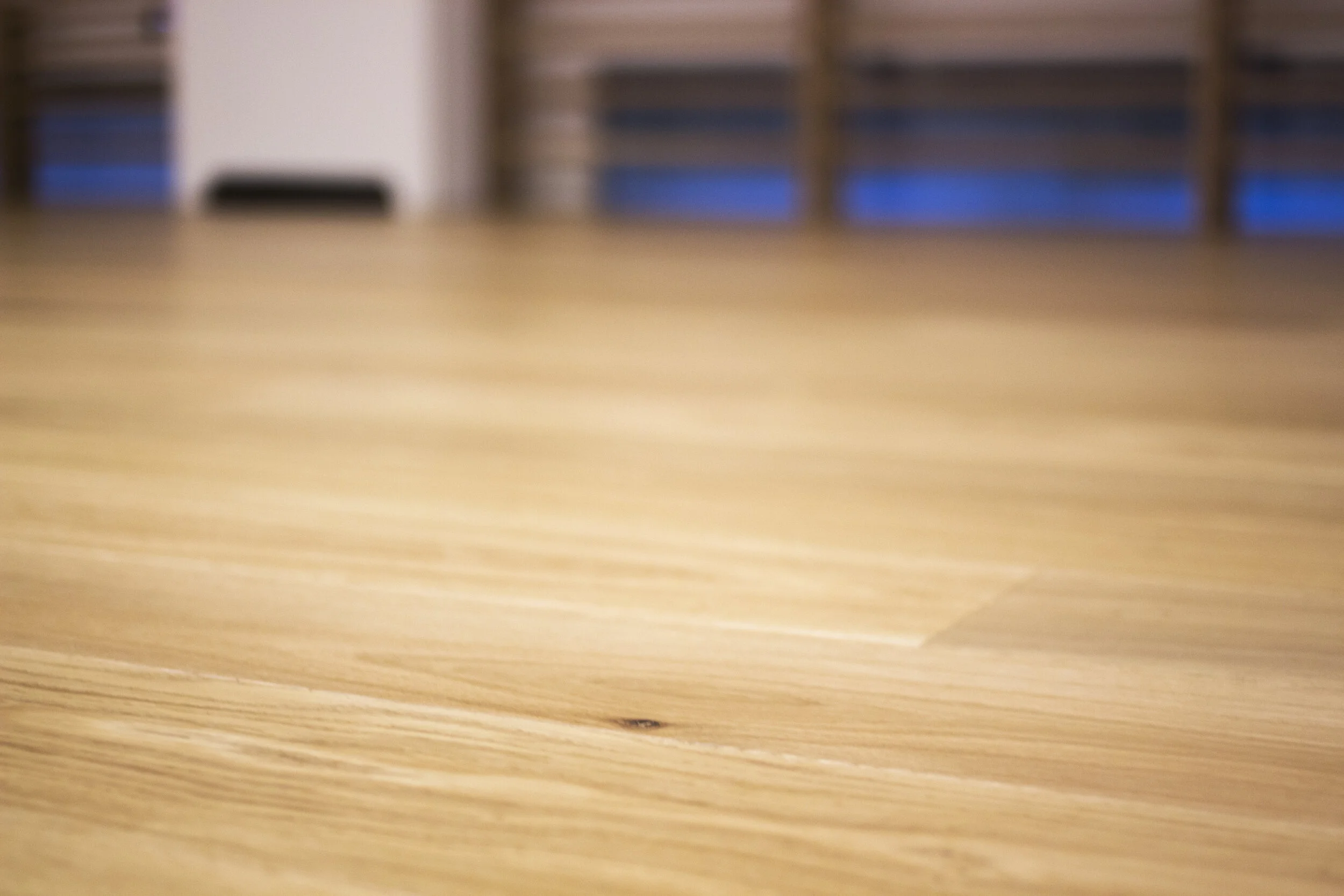 IBDC Dance Programs.jpeg