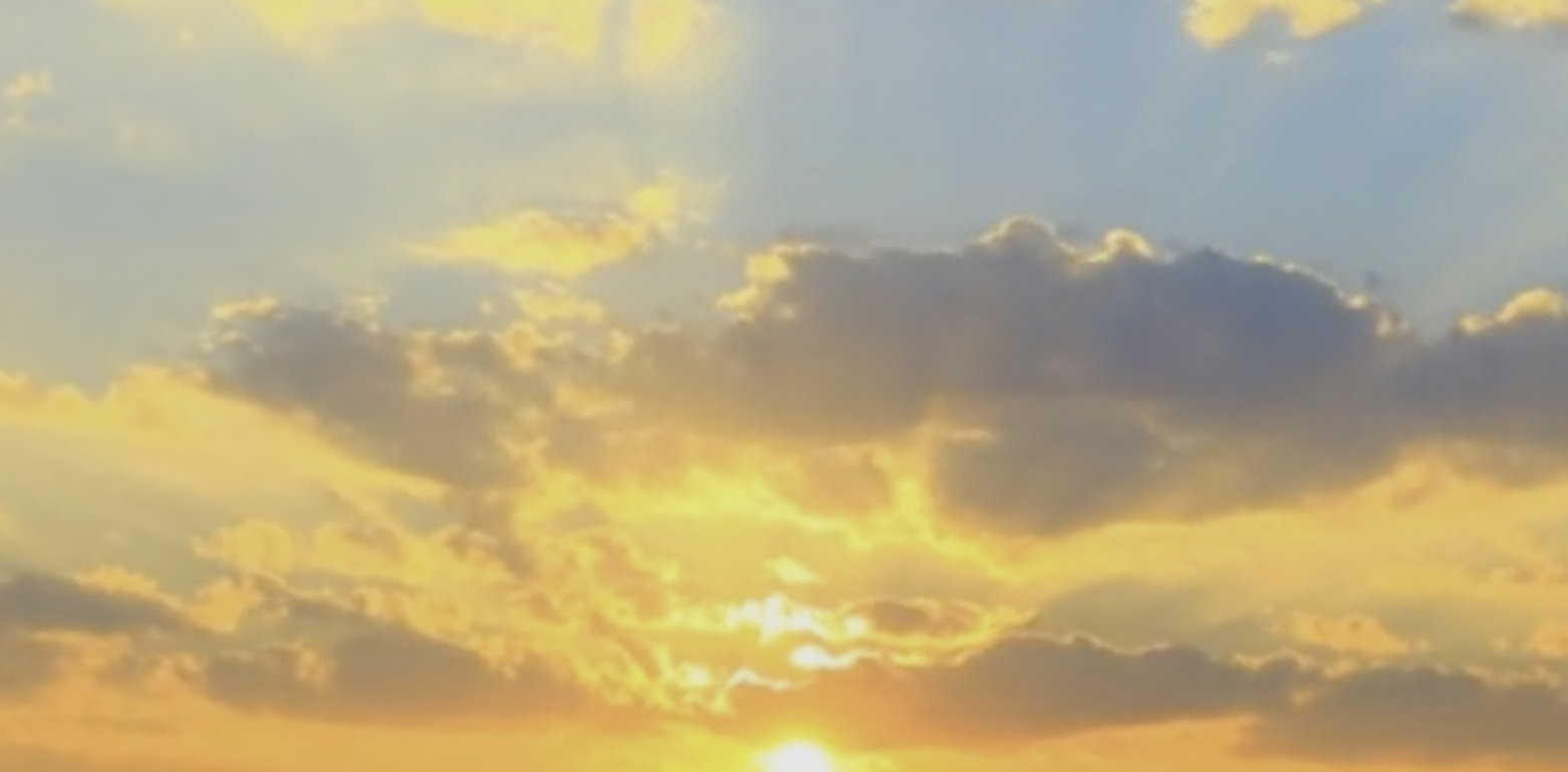 Screenshot 2025-11-29 at 1.52.18 PM.png